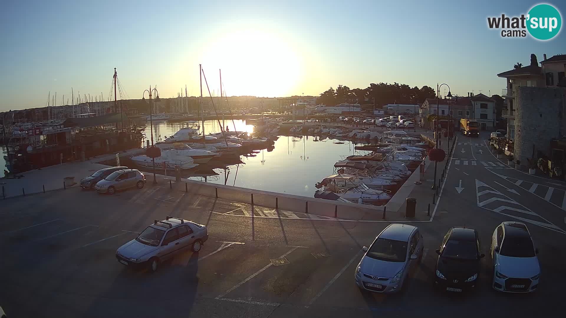 Novigrad | Porporela marina