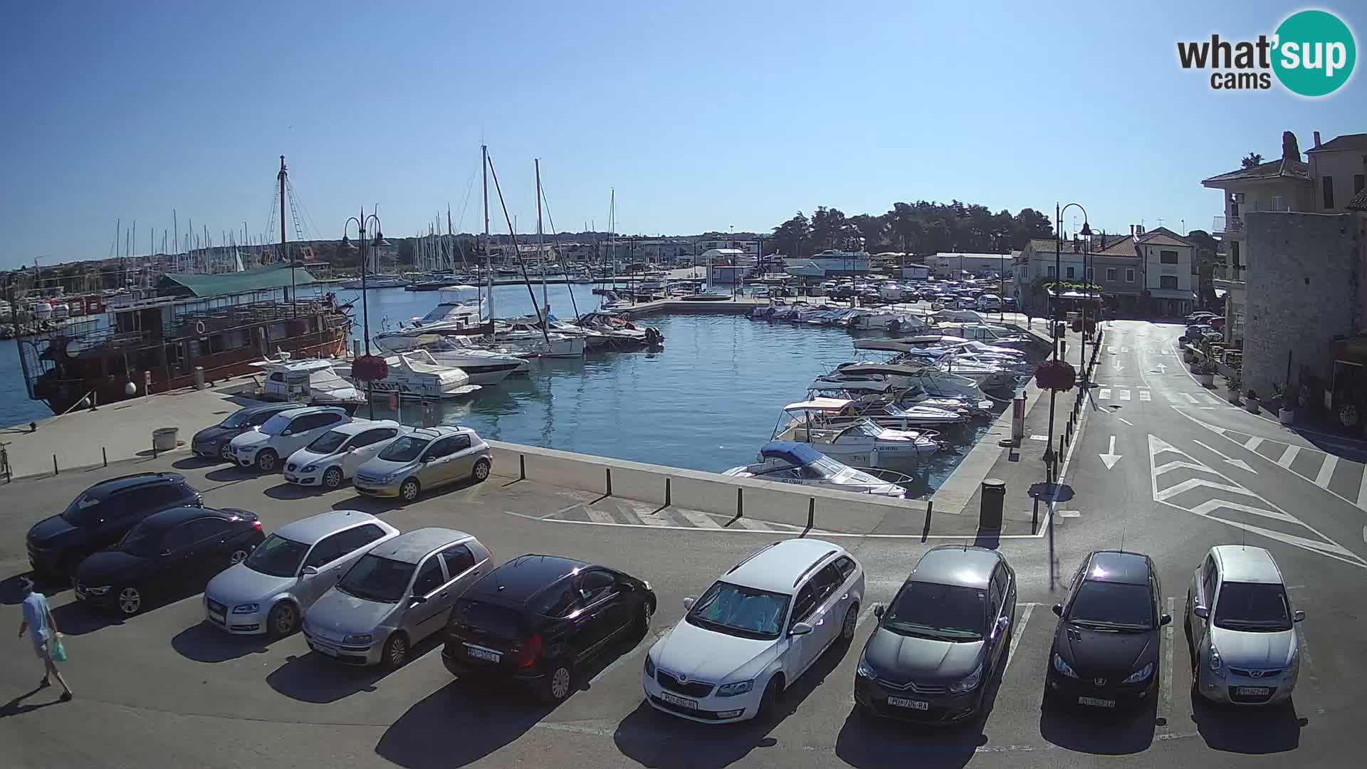 Novigrad | Porporela marina