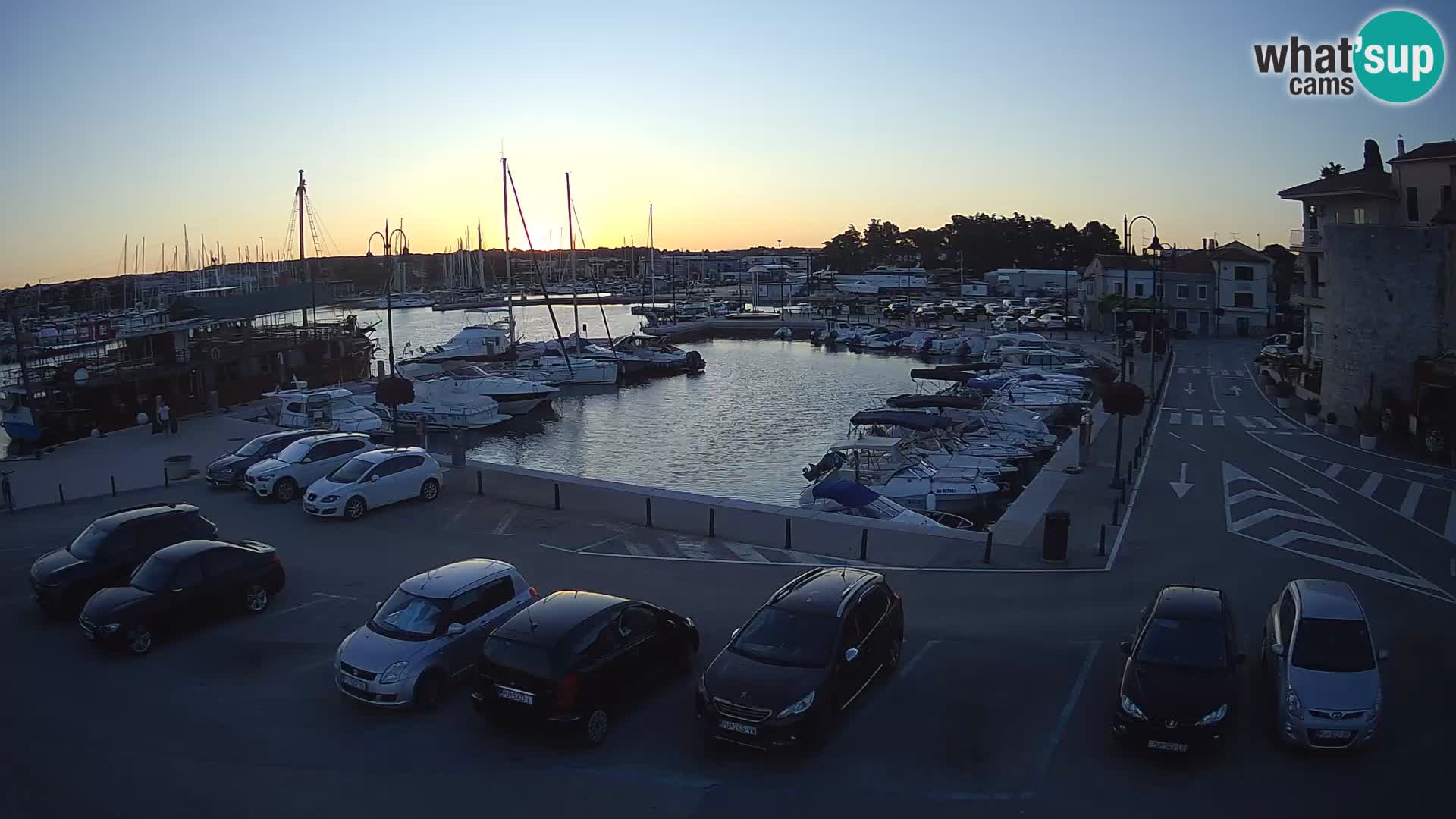 Novigrad | Porporela marina