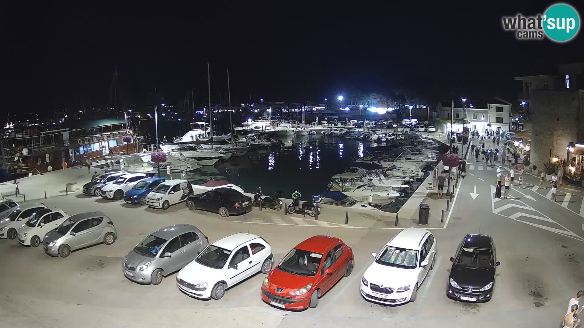 Novigrad | Porporela marina