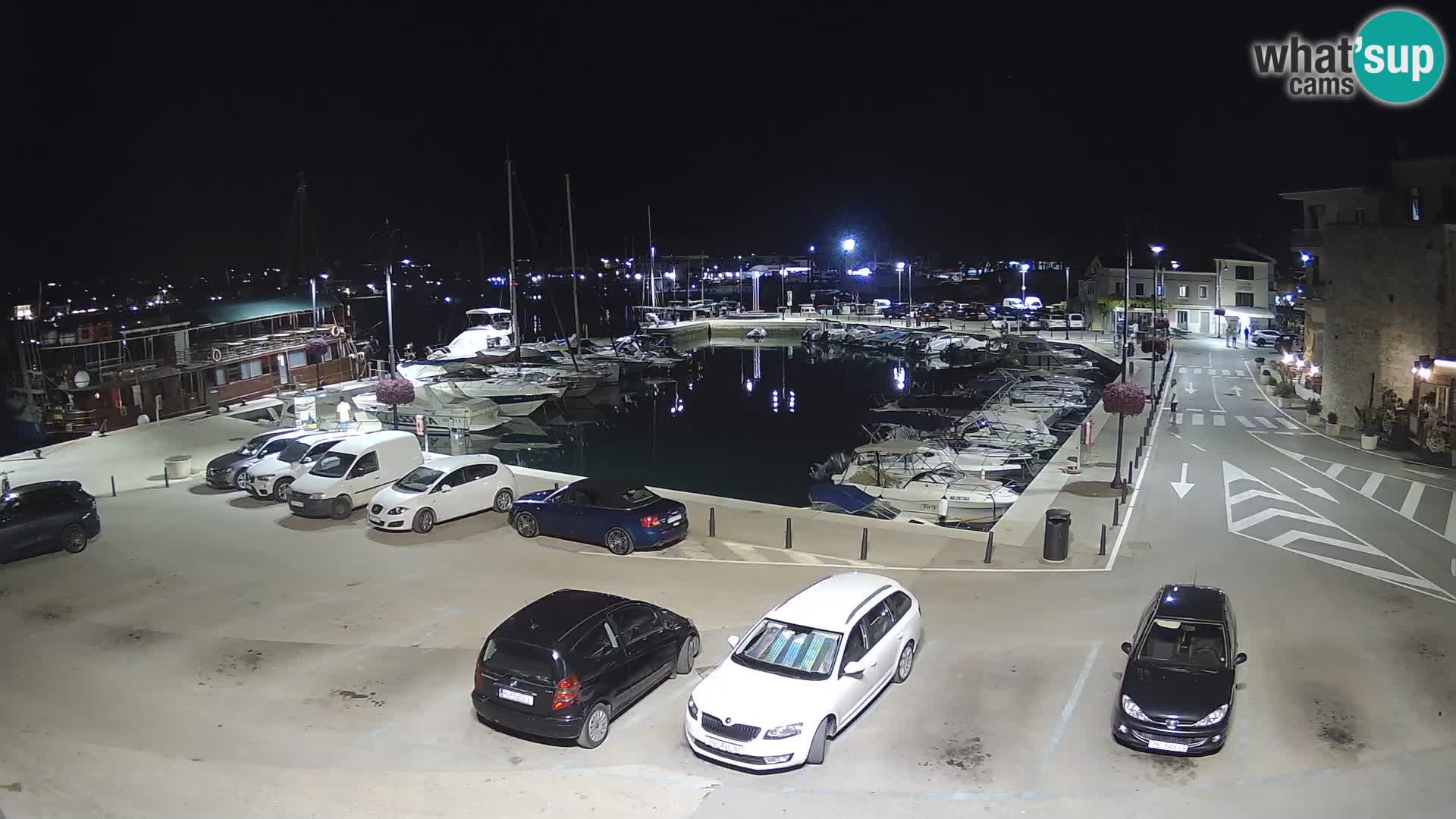 Novigrad | Porporela marina
