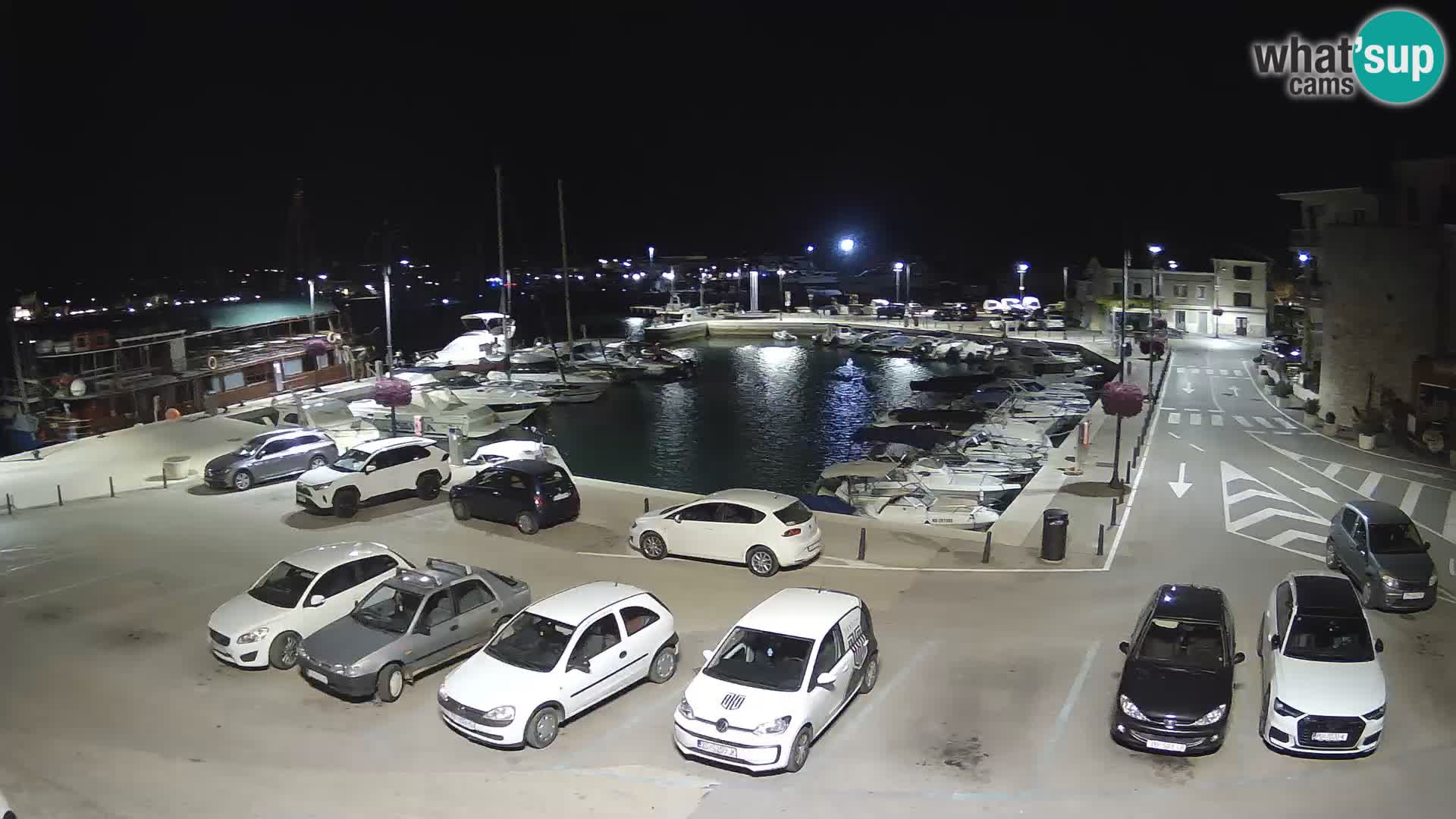 Novigrad | Porporela marina