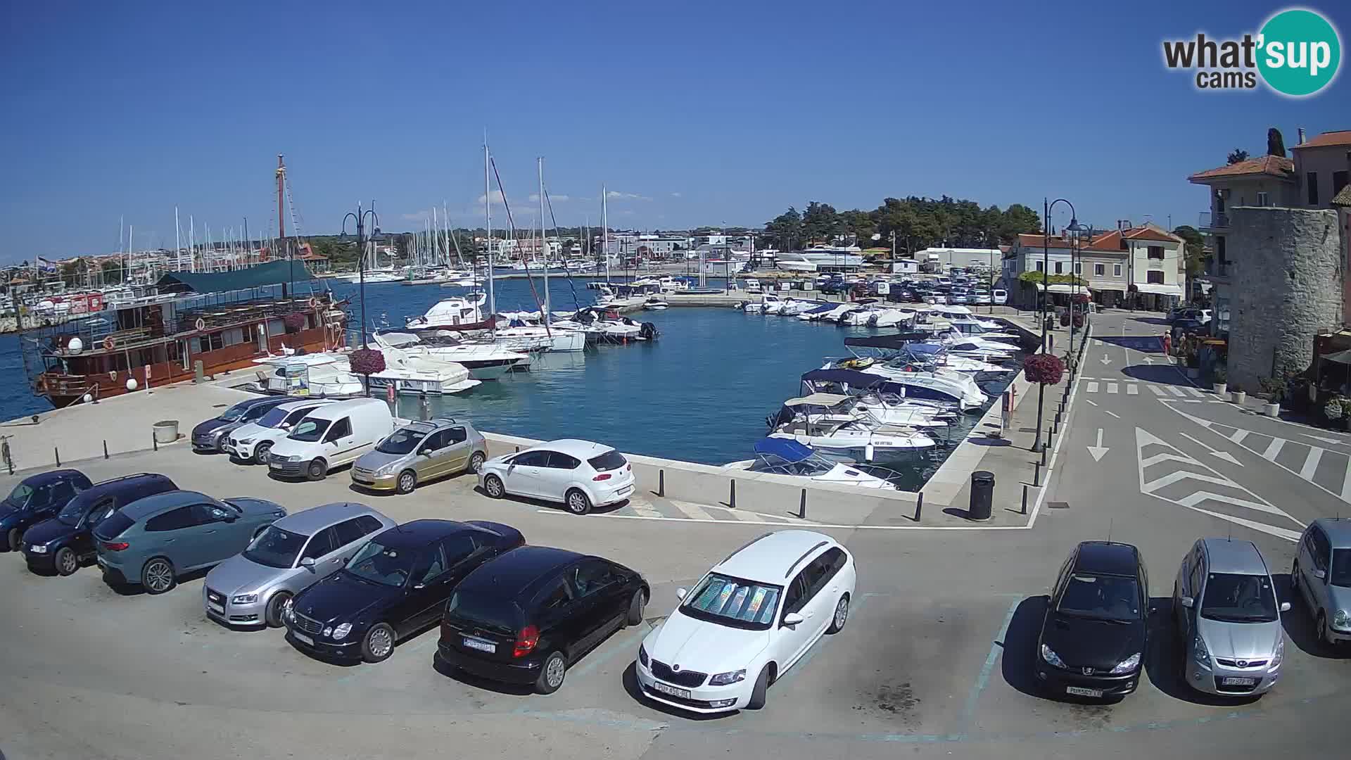 Novigrad | Porporela marina