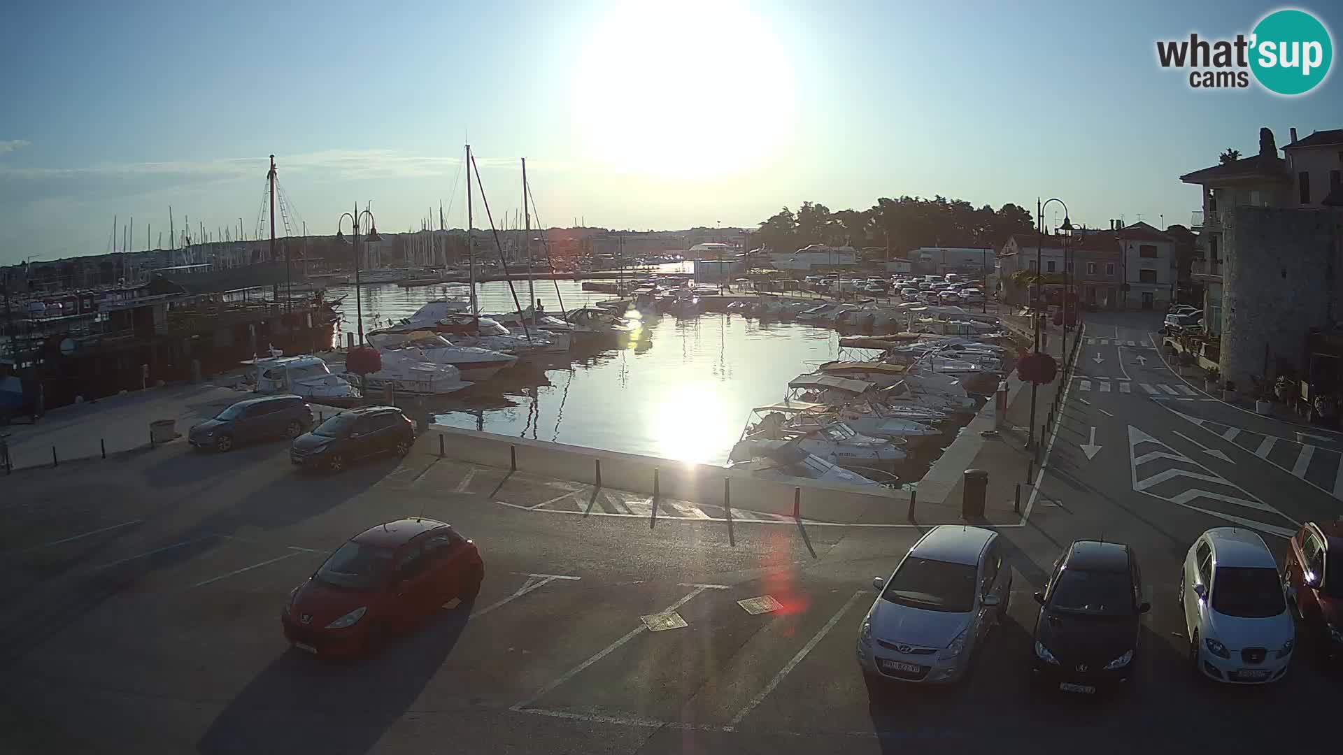 Novigrad | Porporela marina