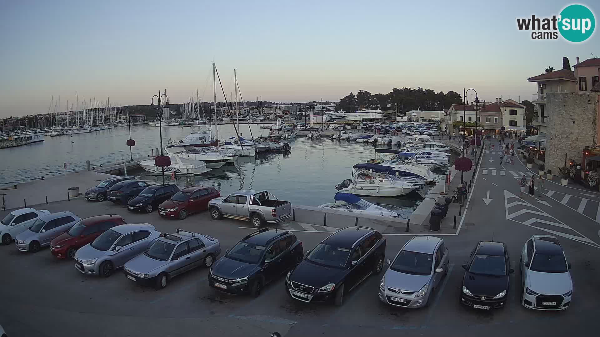 Novigrad | Porporela marina