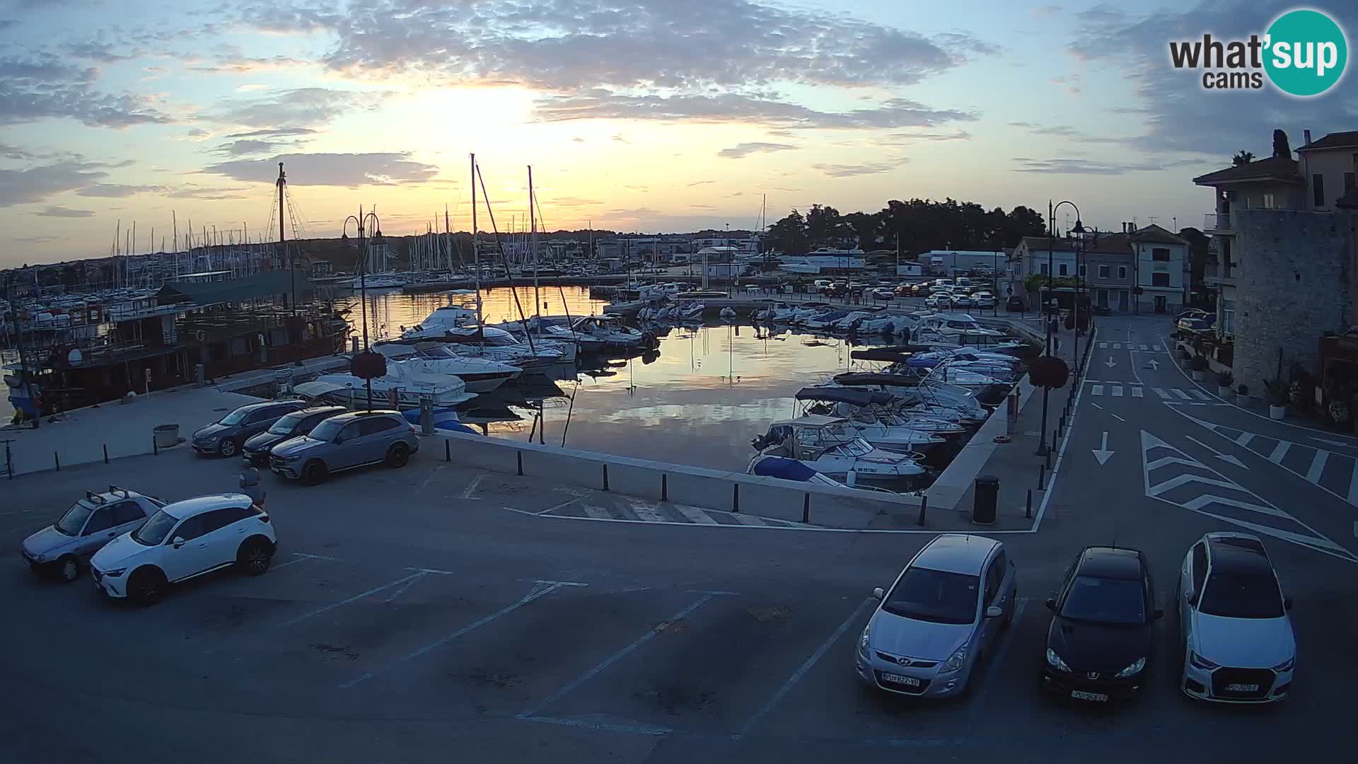 Novigrad | Porporela marina