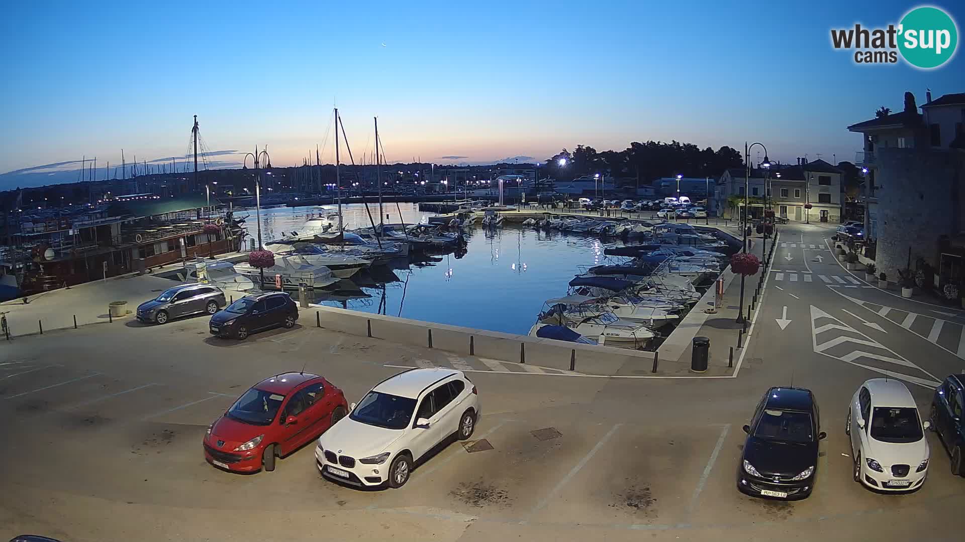 Novigrad | Porporela marina