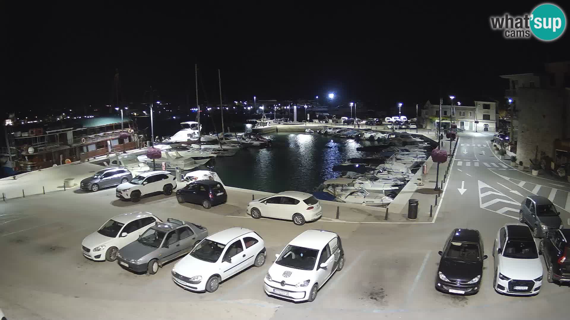 Novigrad | Porporela marina