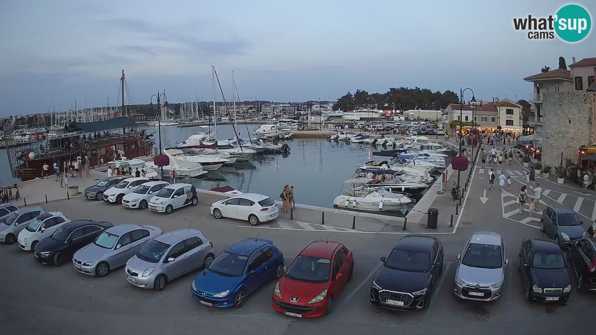 Novigrad | Porporela marina
