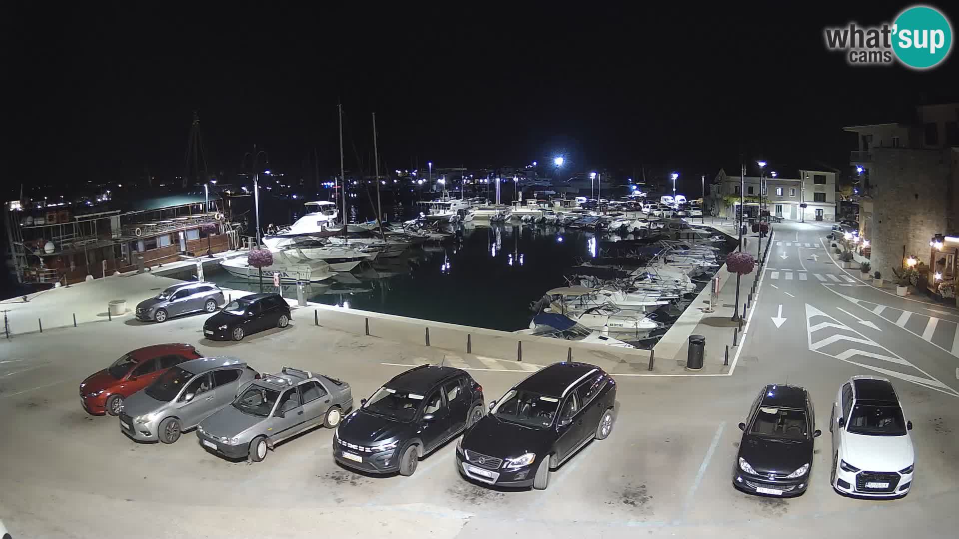 Novigrad | Porporela marina
