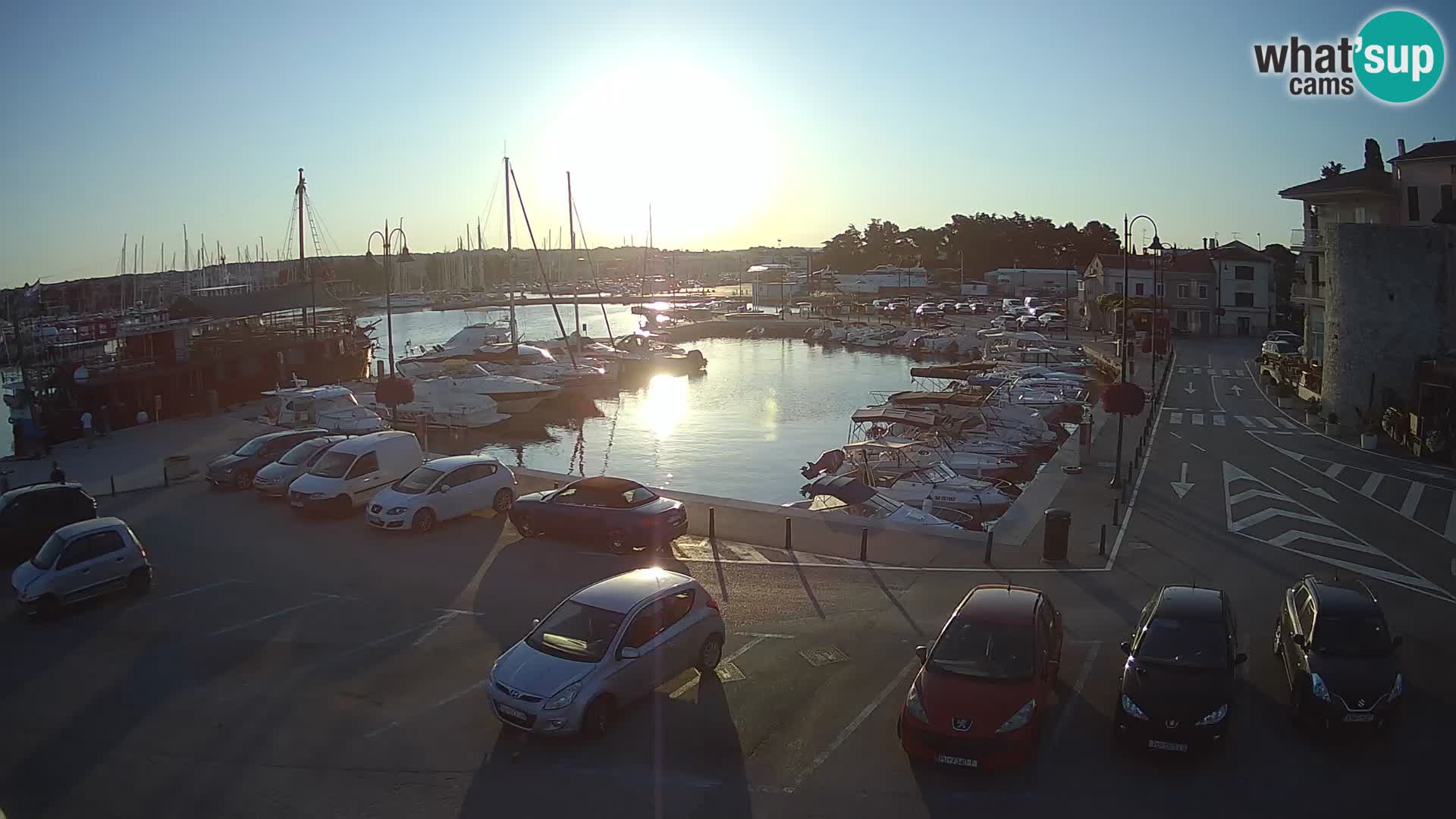 Novigrad | Porporela marina