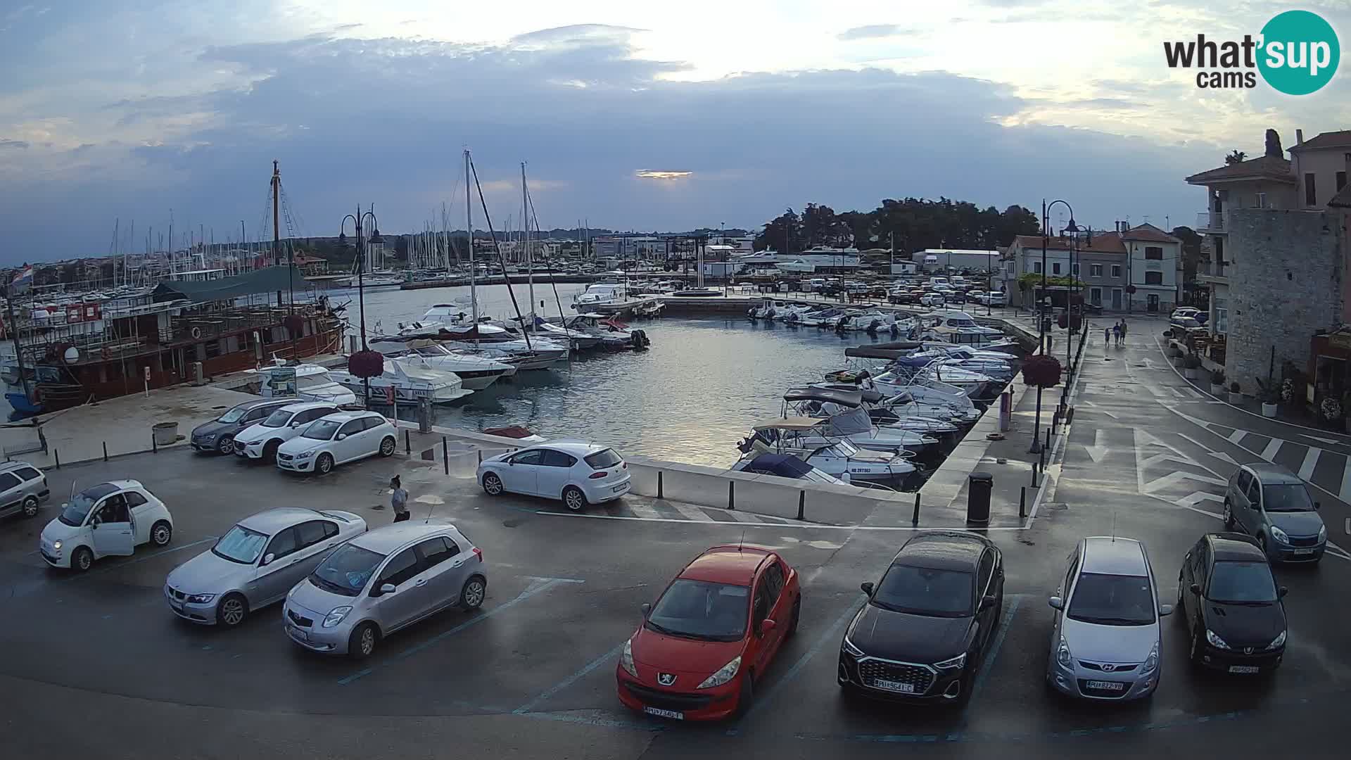 Novigrad | Porporela marina