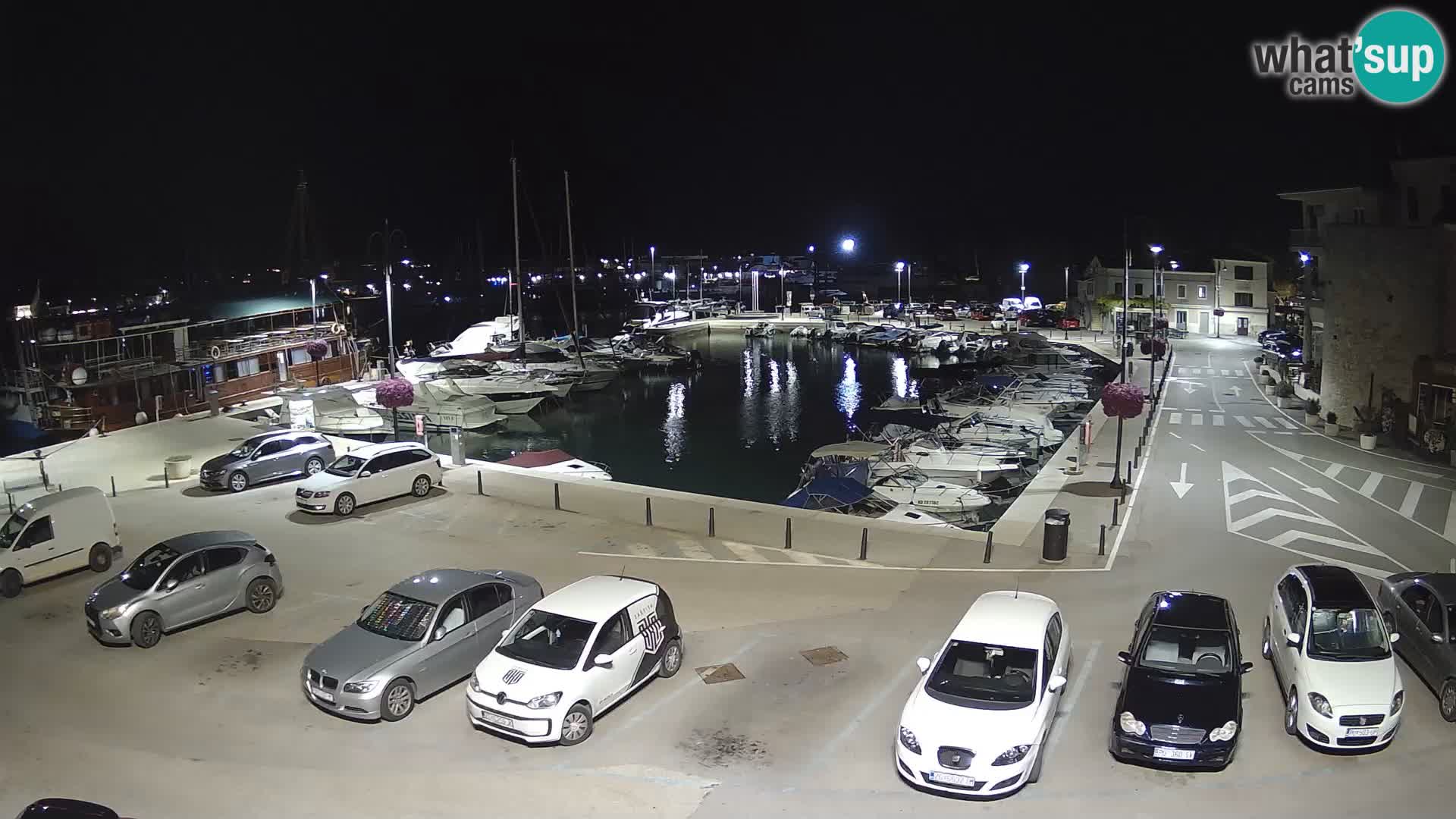 Novigrad | Porporela marina