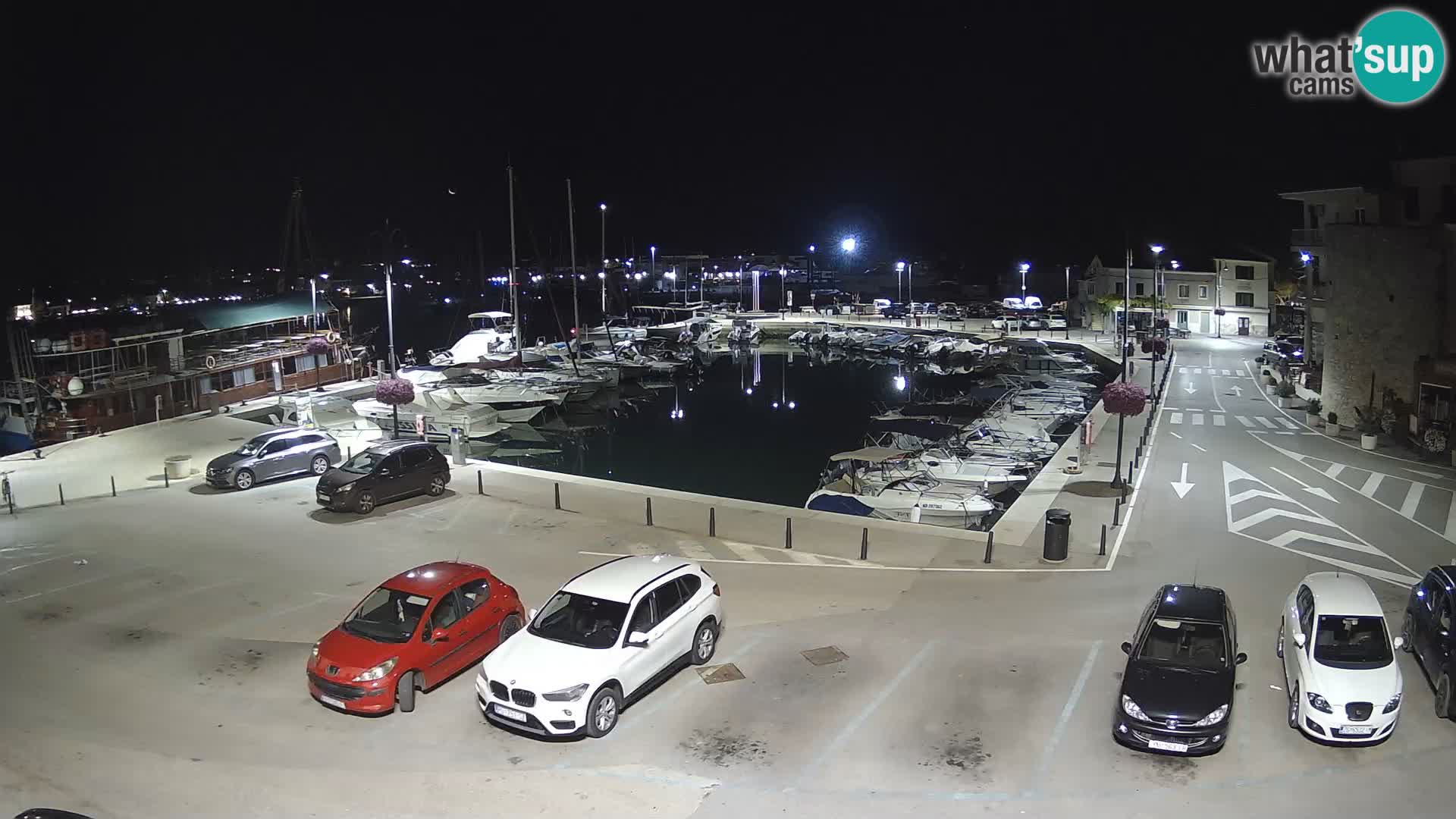 Novigrad | Porporela marina