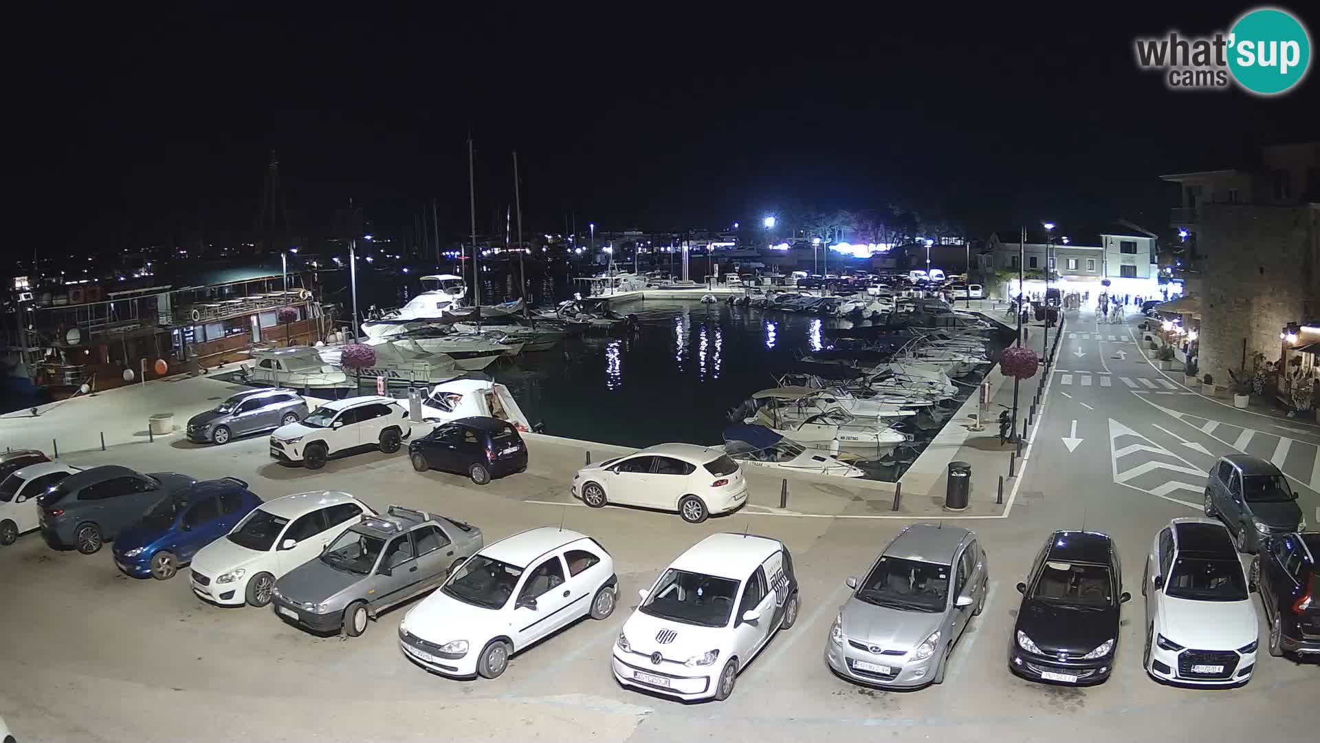 Novigrad | Porporela marina