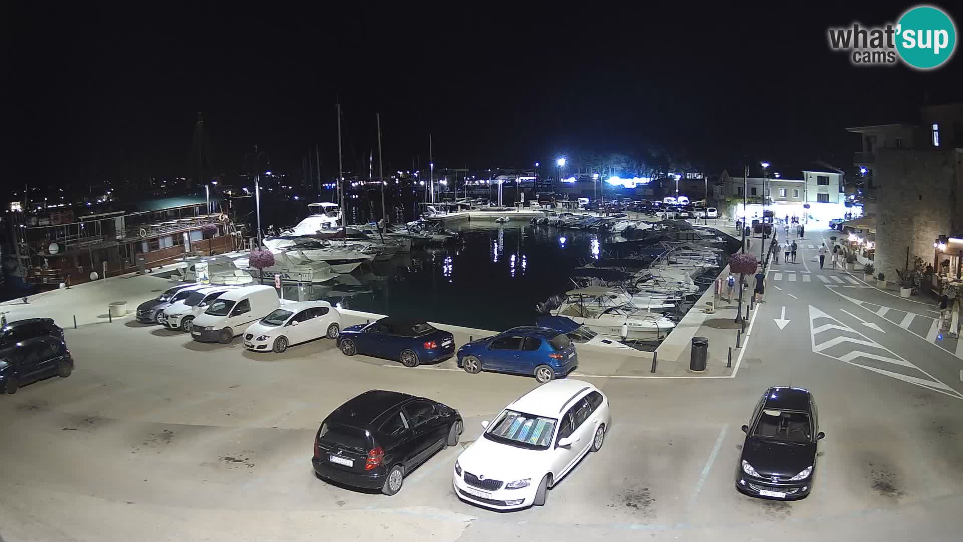 Novigrad | Porporela marina