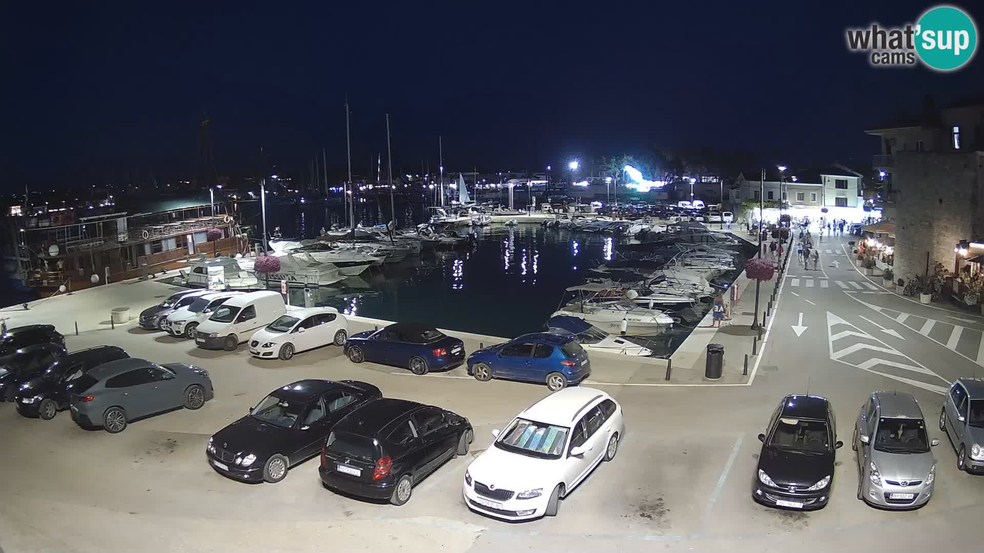 Novigrad | Porporela marina