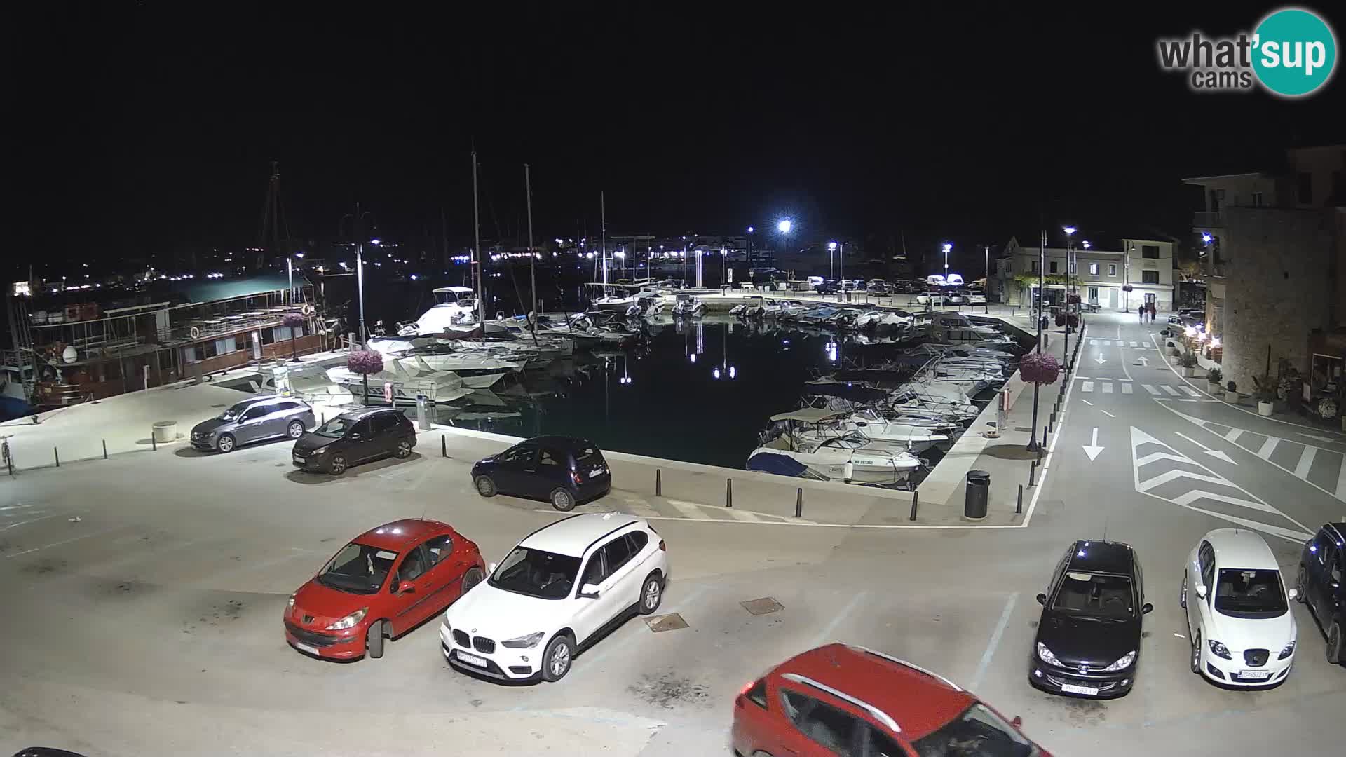 Novigrad | Porporela marina