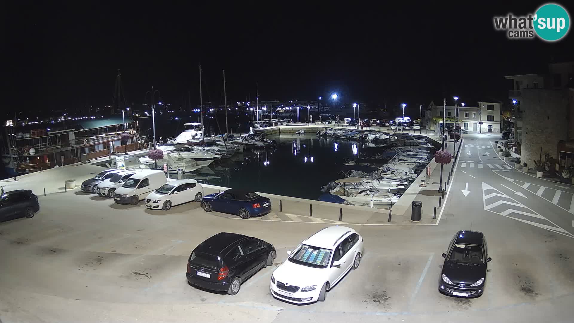 Novigrad | Porporela marina