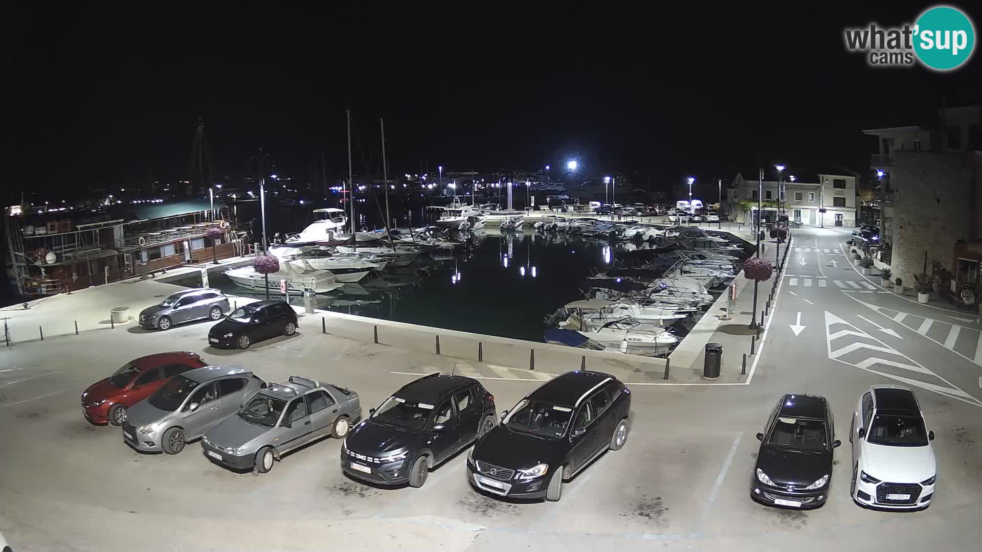 Novigrad | Porporela marina