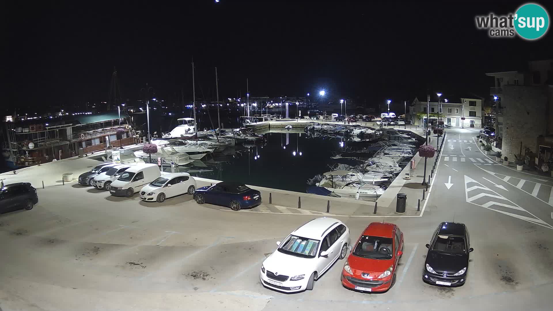 Novigrad | Porporela marina