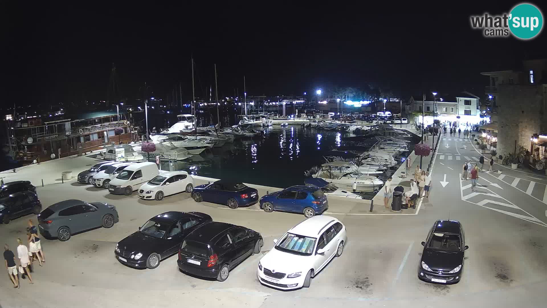 Novigrad | Porporela marina