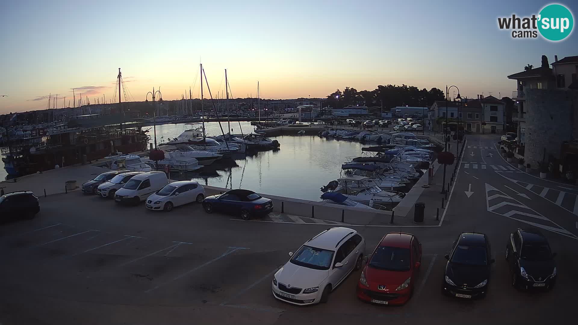 Novigrad | Porporela marina