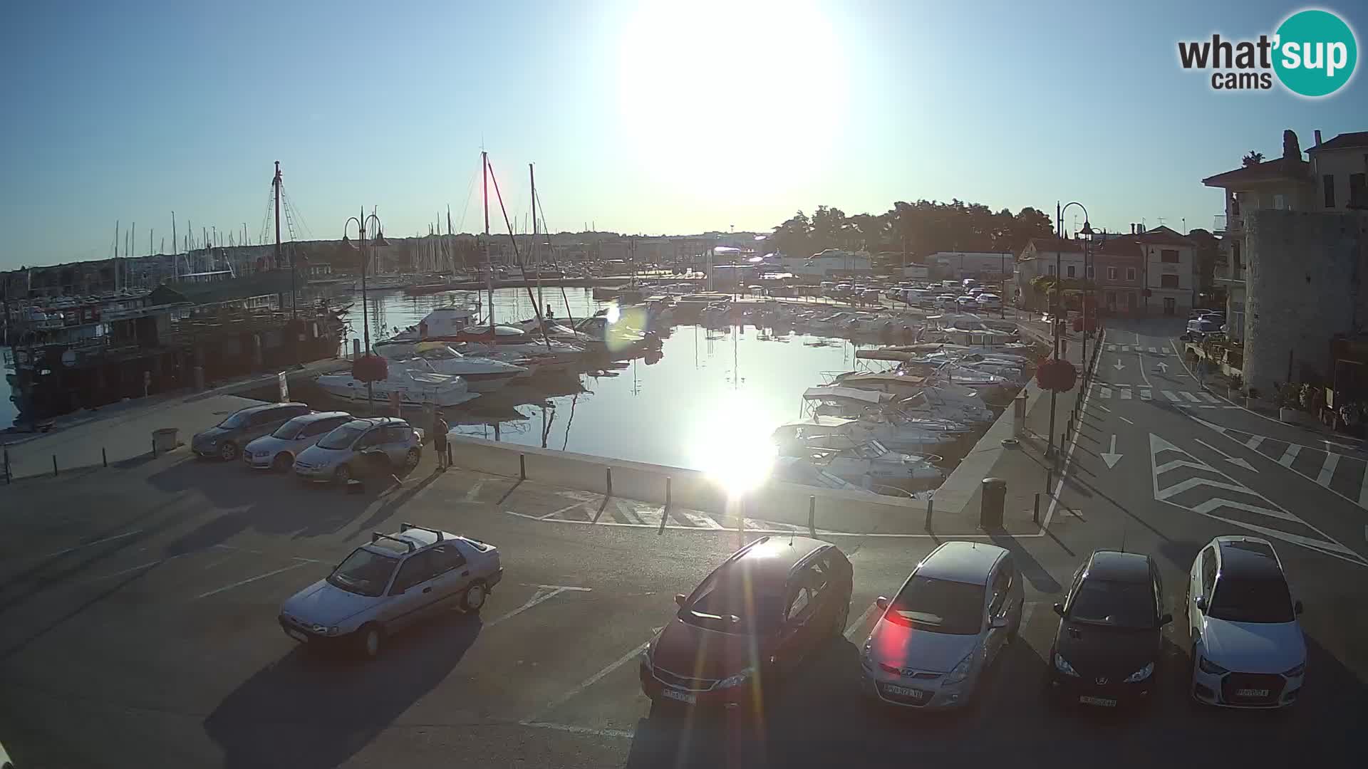 Novigrad | Porporela marina