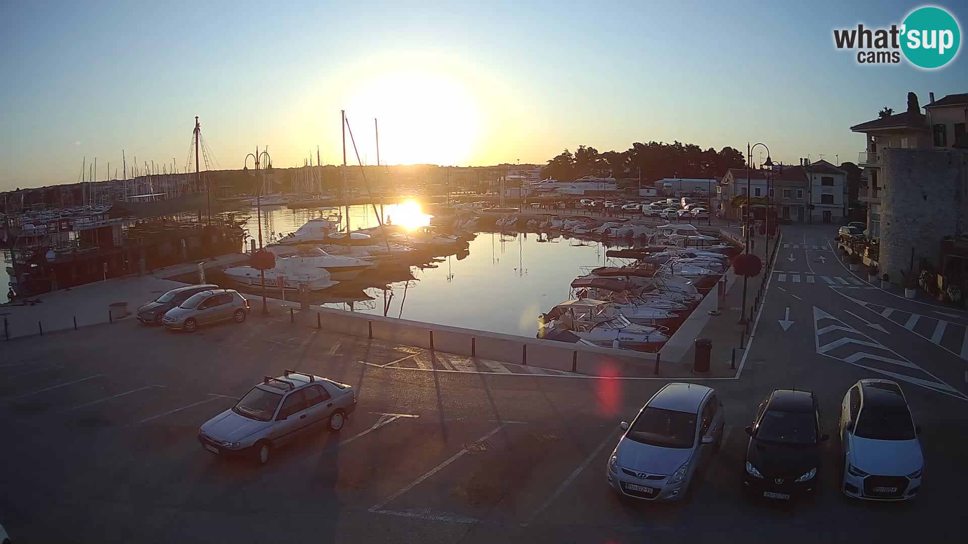 Novigrad | Porporela marina