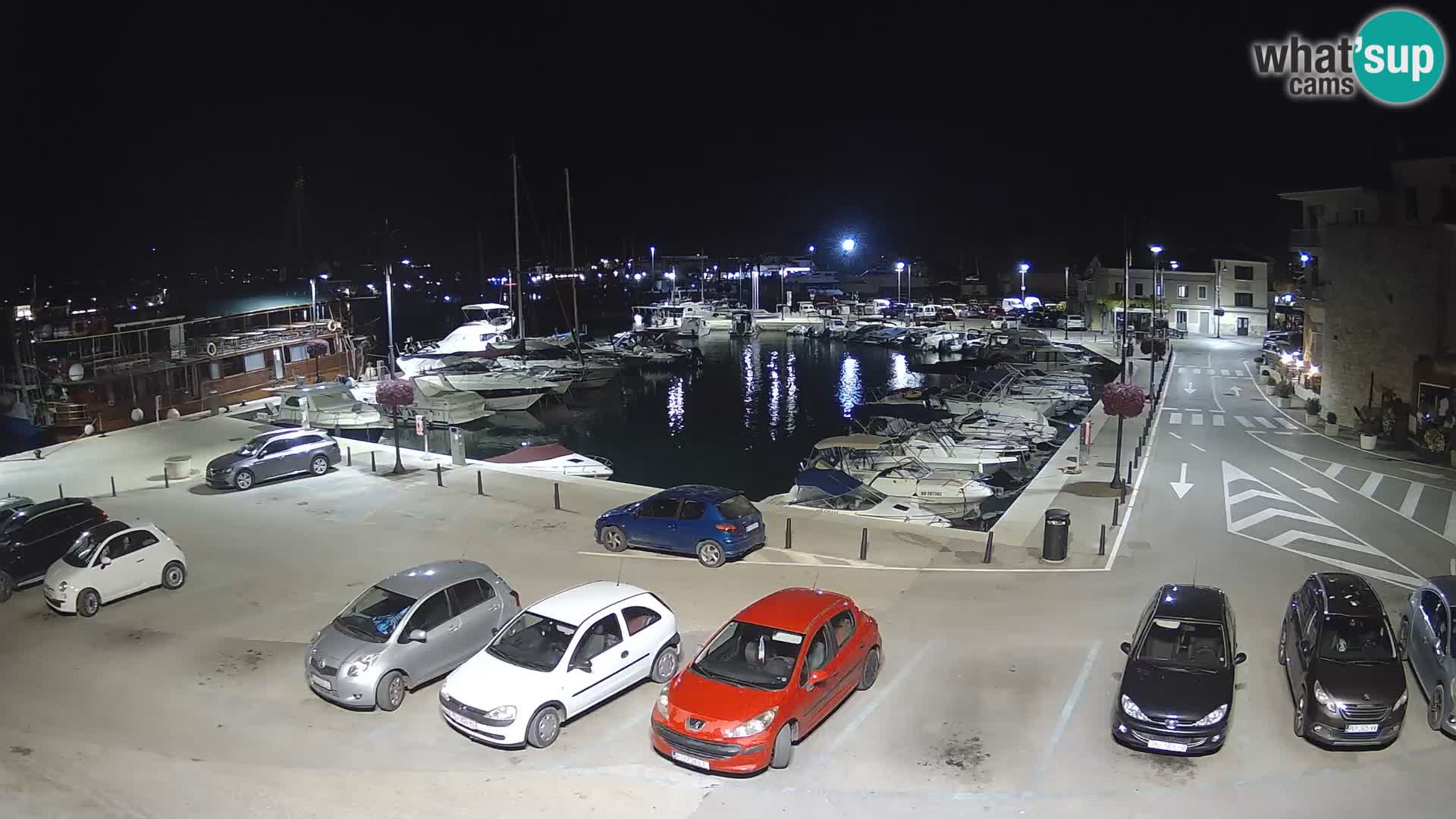 Novigrad | Porporela marina