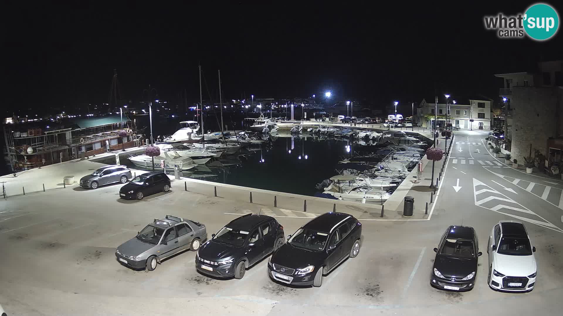 Novigrad | Porporela marina