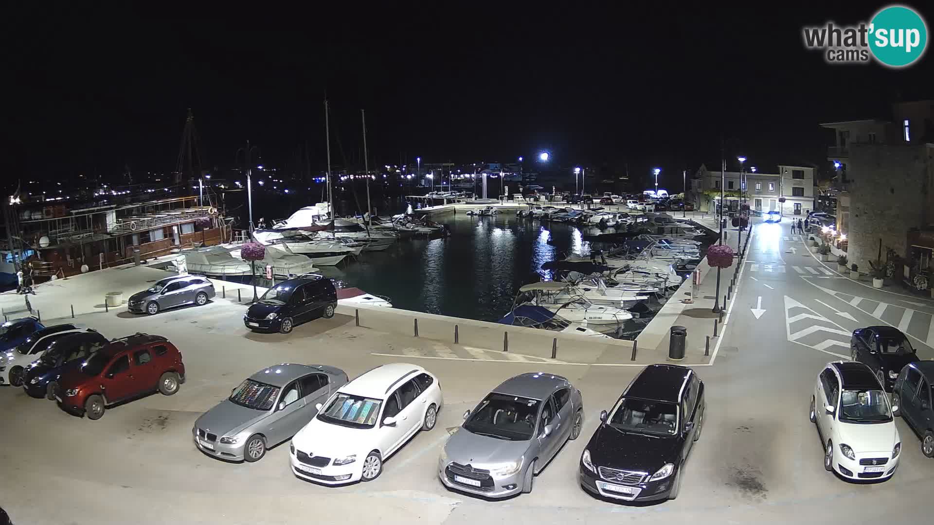 Novigrad | Porporela marina