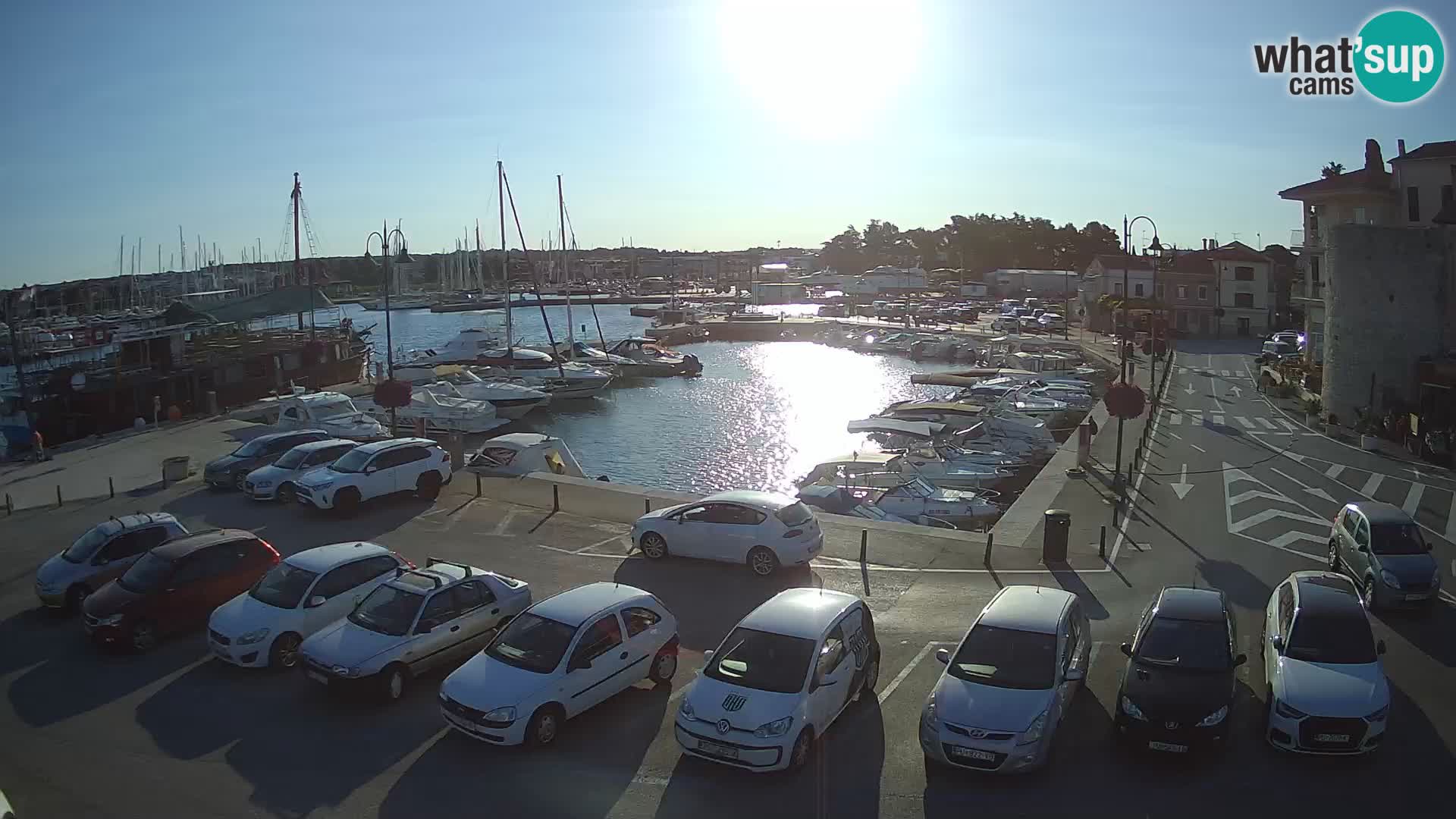 Novigrad | Porporela marina