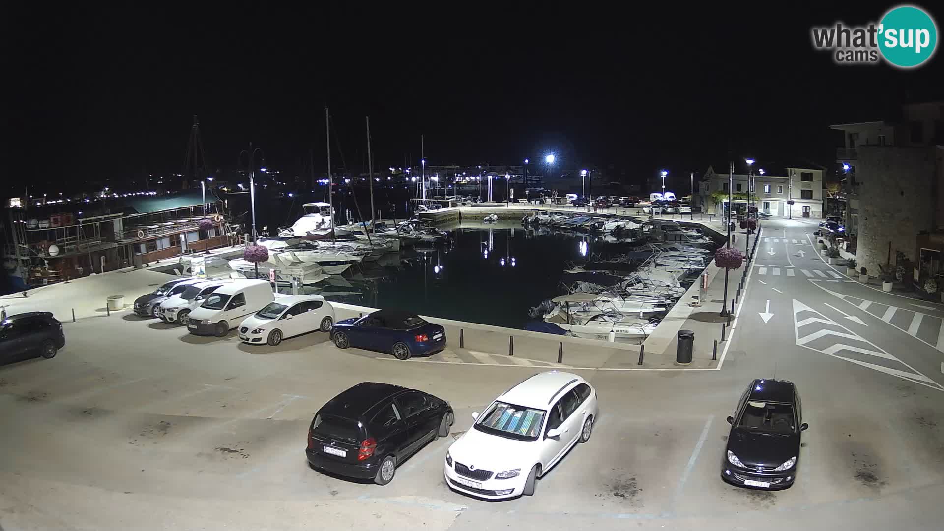 Novigrad | Porporela marina