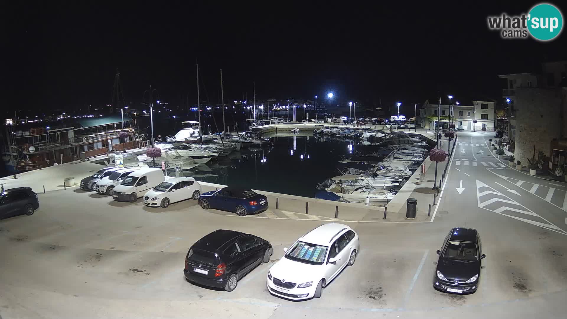 Novigrad | Porporela marina
