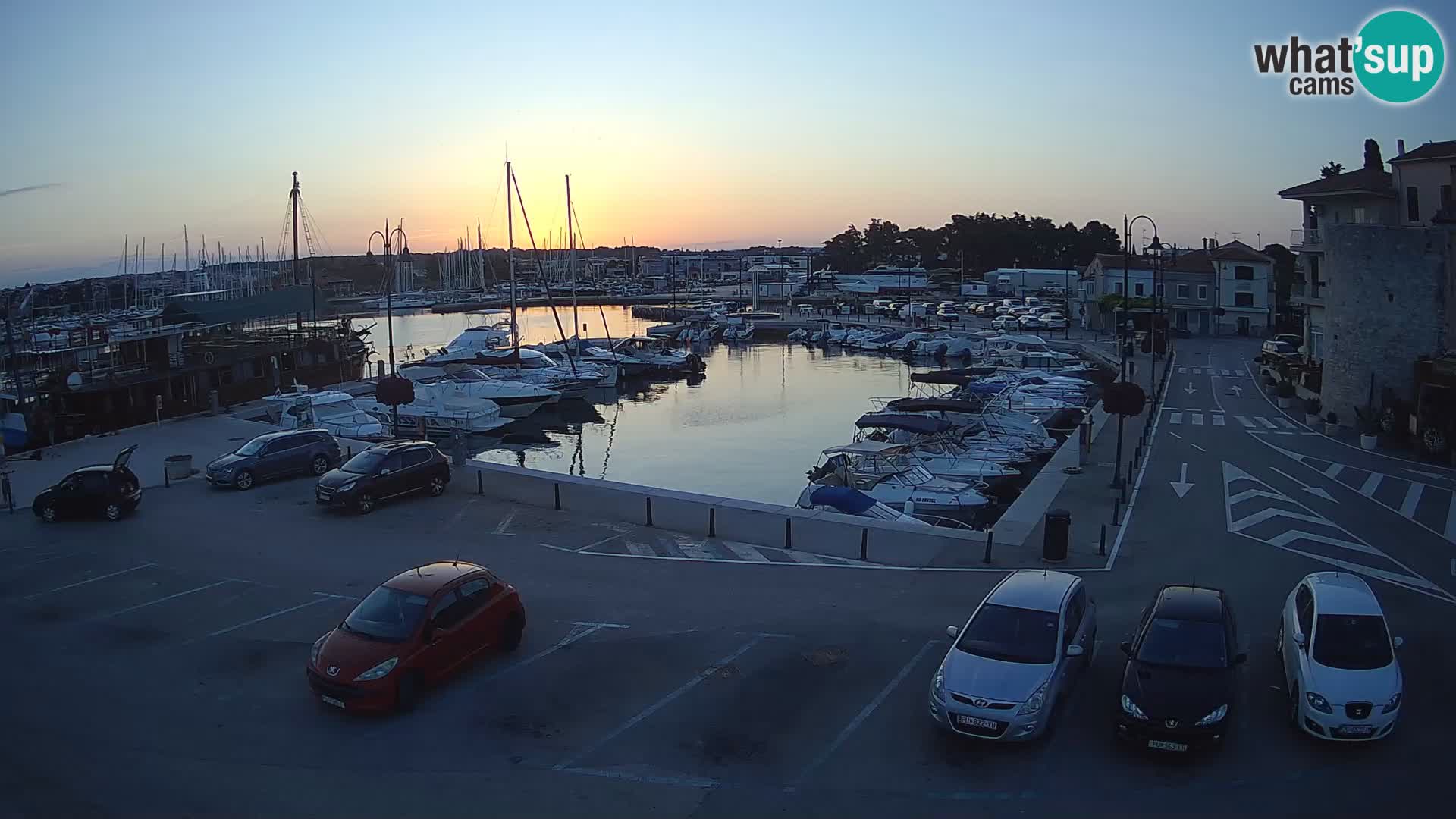 Novigrad | Porporela marina
