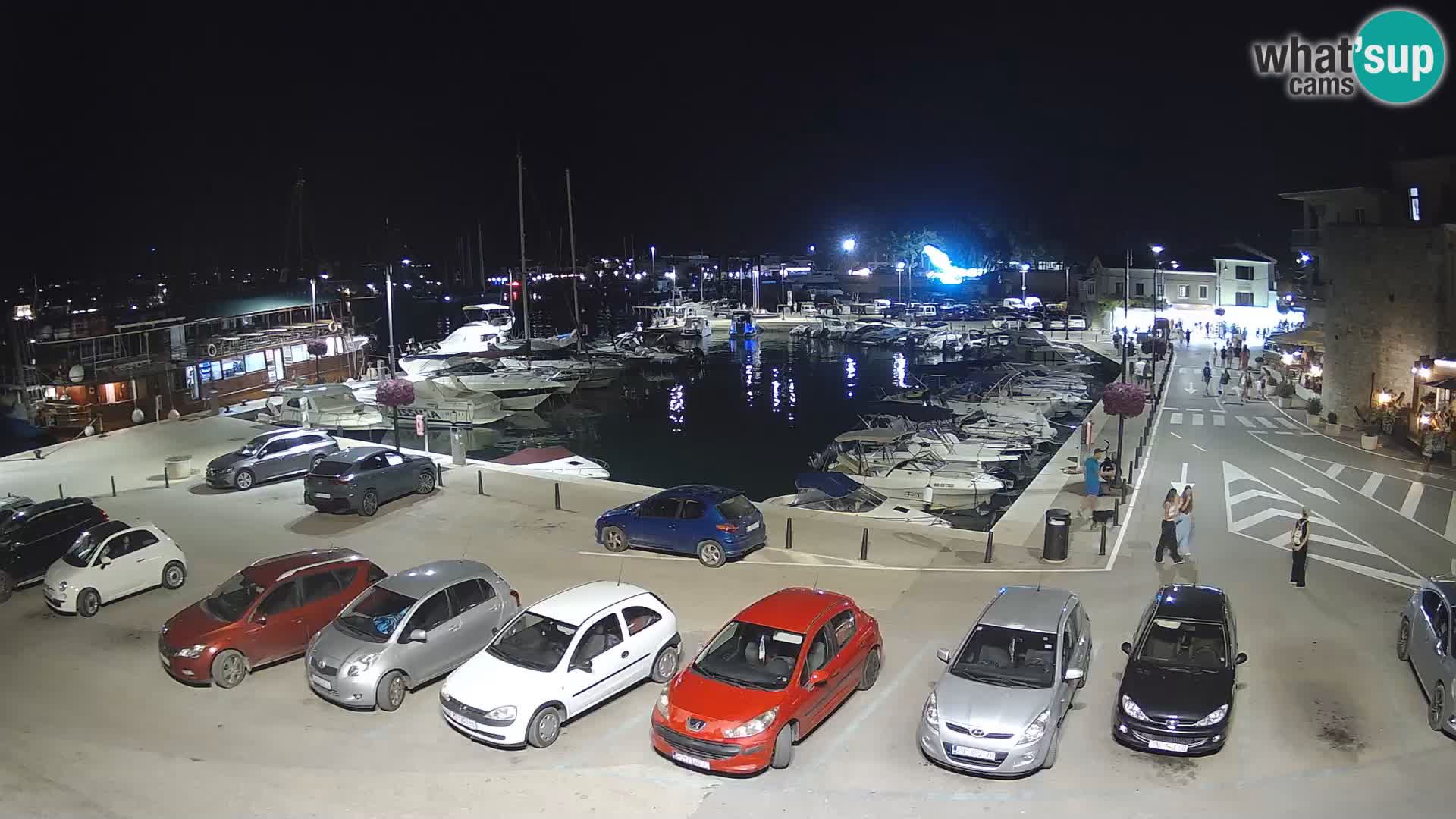 Novigrad | Porporela marina