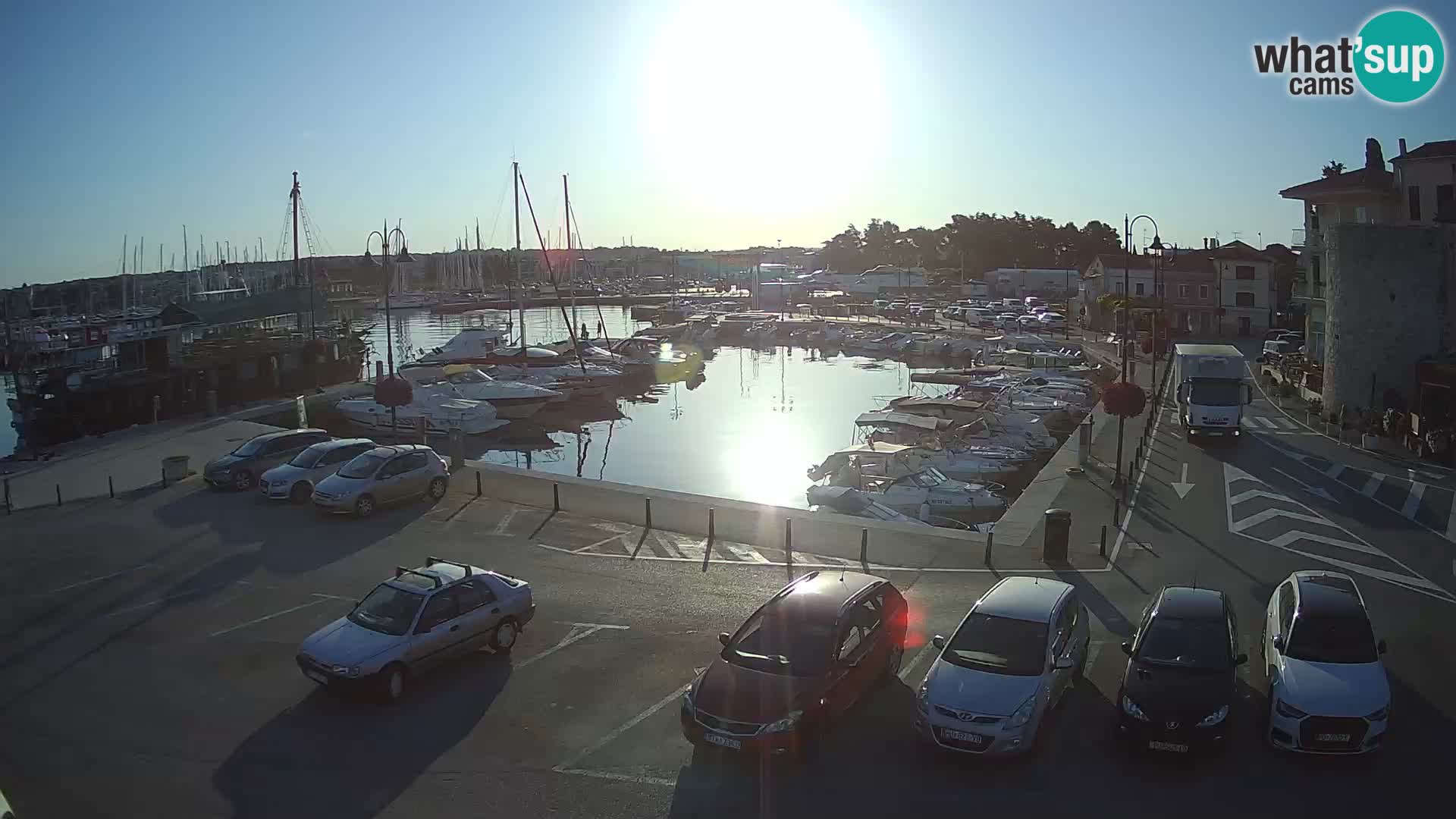Novigrad | Porporela marina