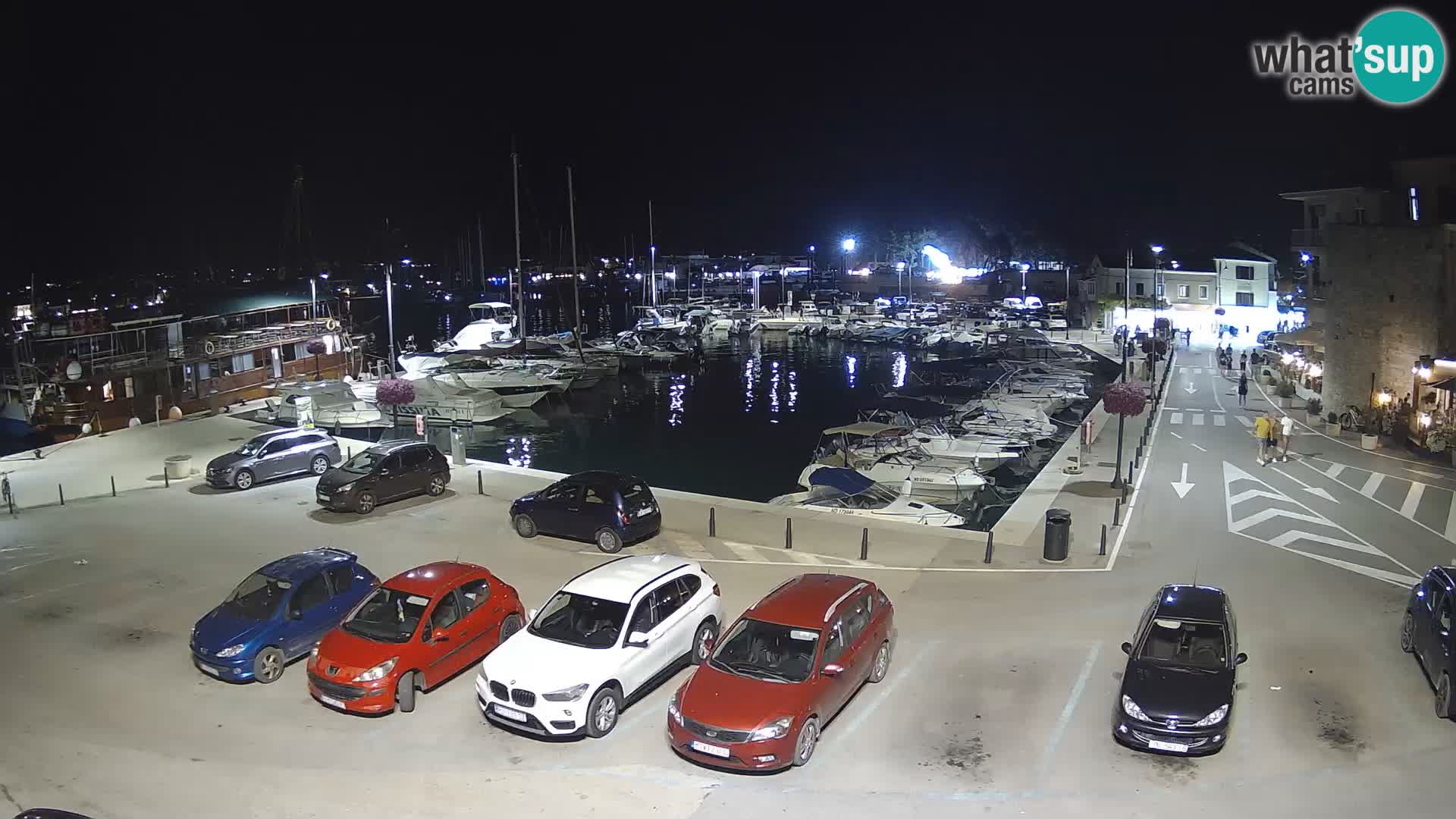 Novigrad | Porporela marina