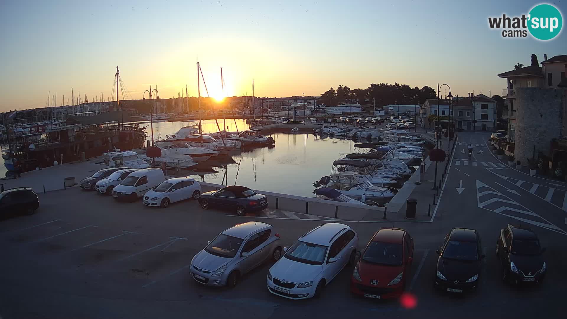 Novigrad | Porporela marina