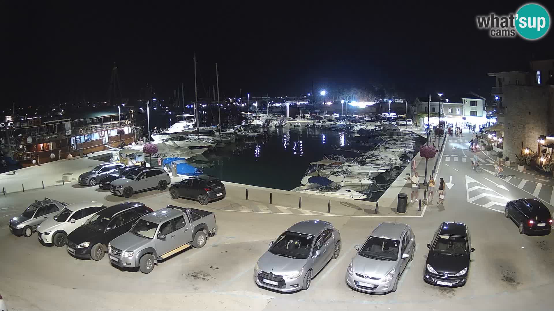 Novigrad | Porporela marina