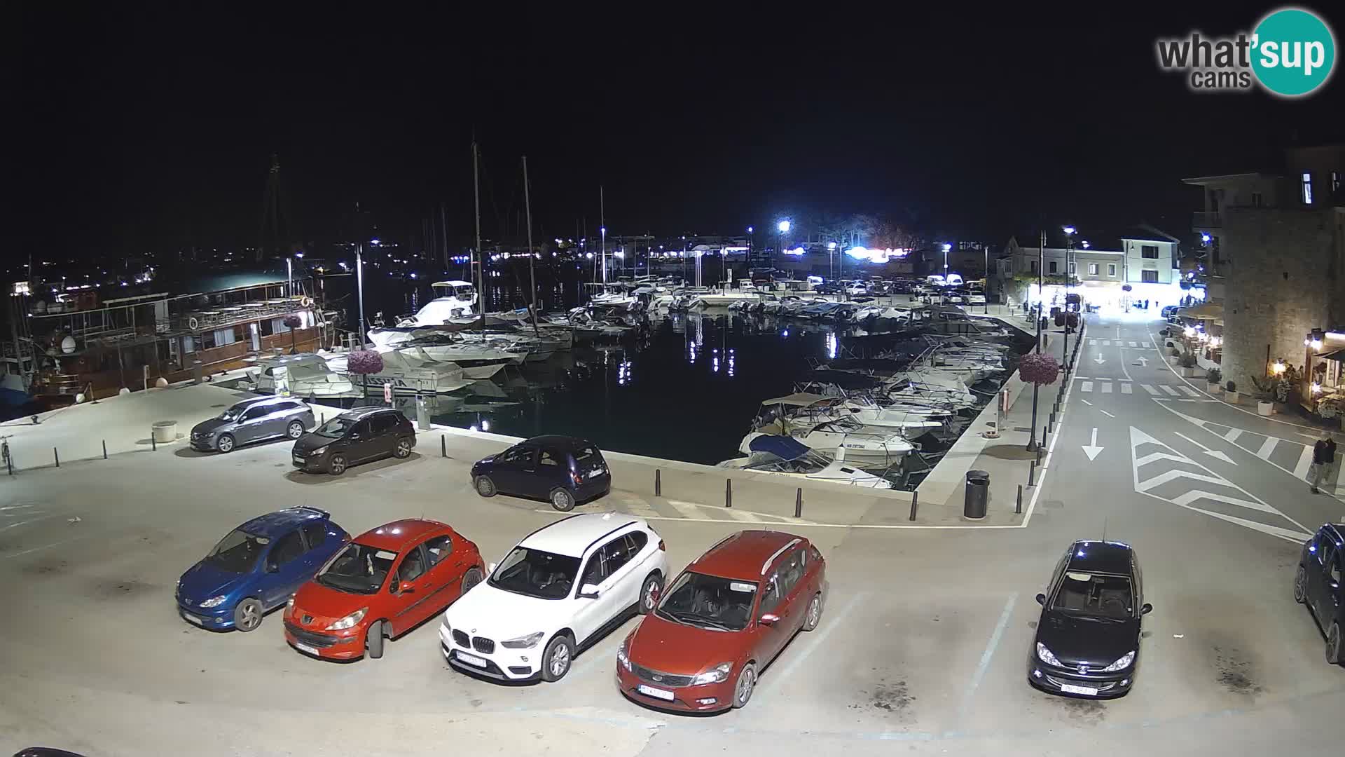 Novigrad | Porporela marina