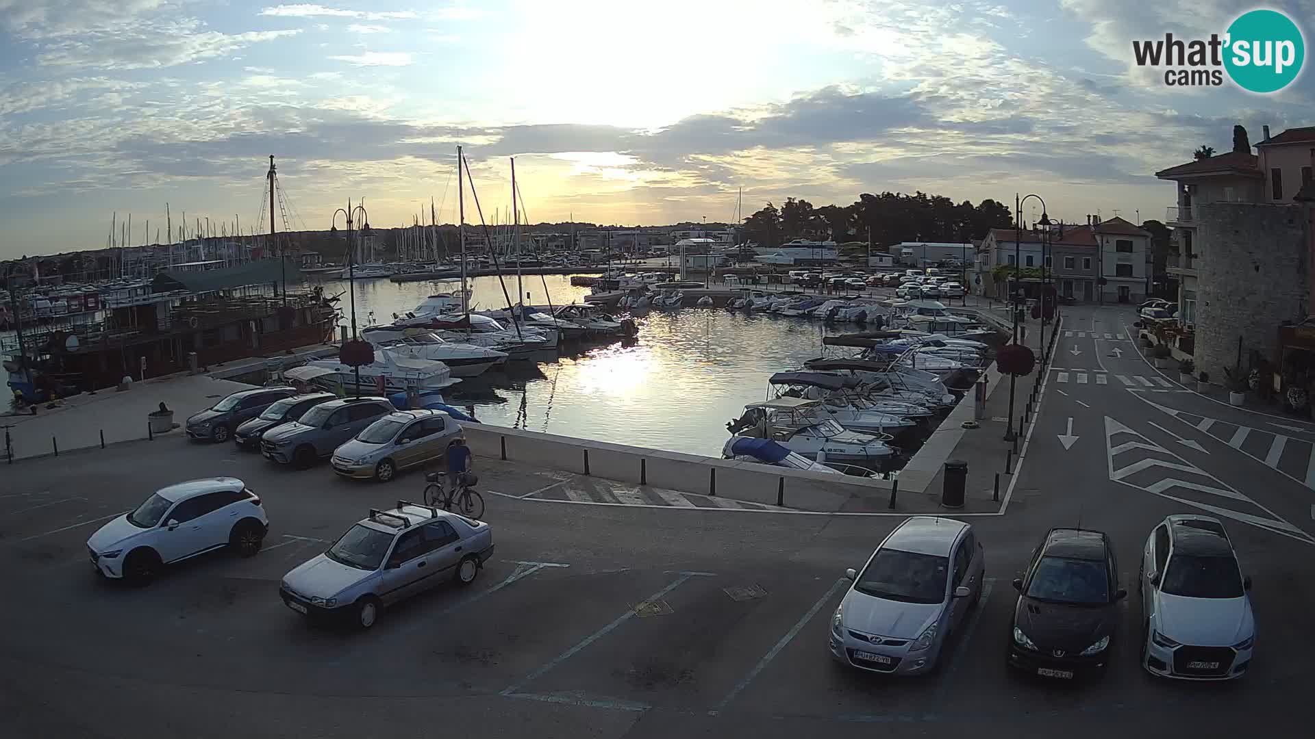Novigrad | Porporela marina