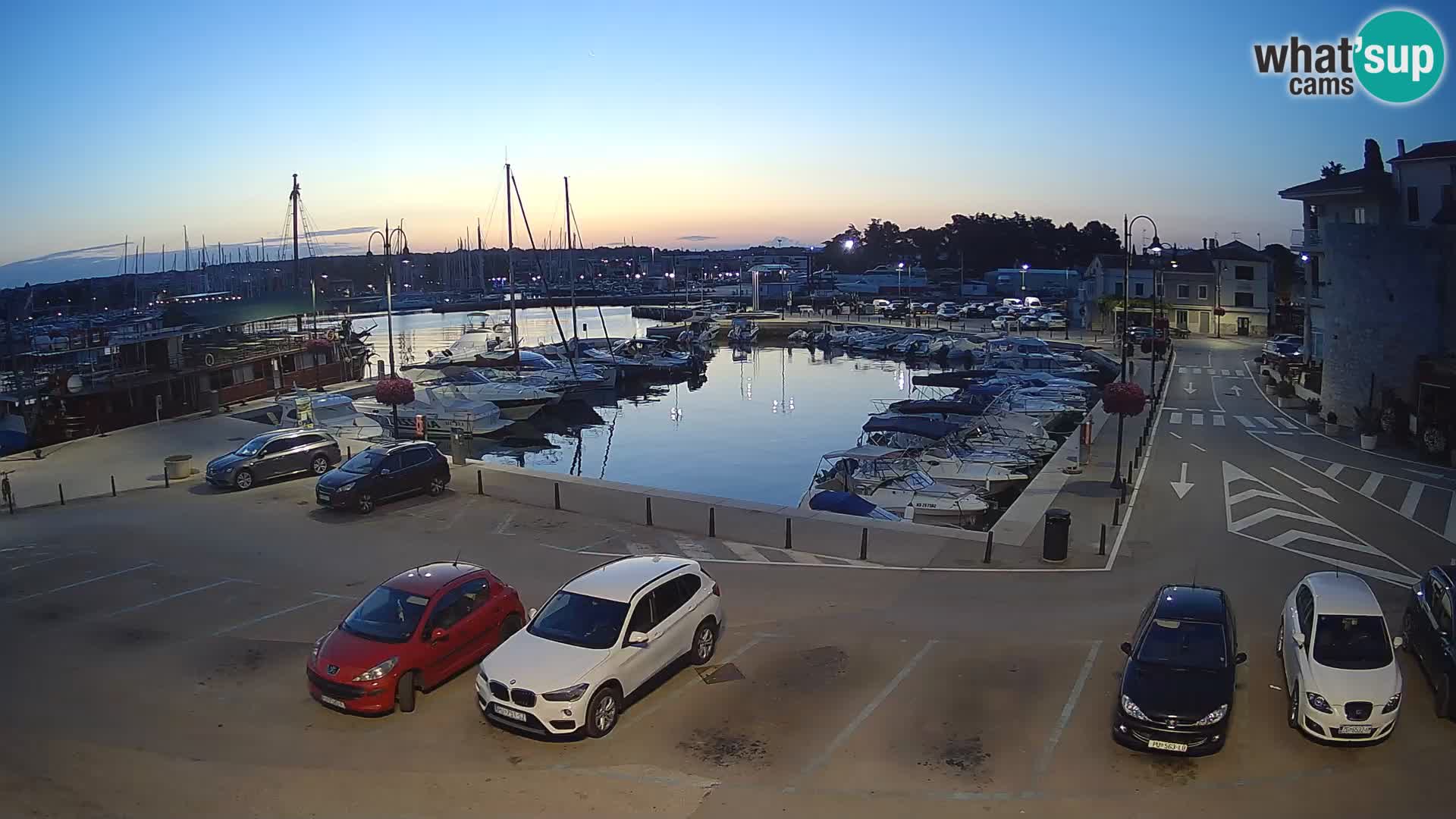 Novigrad | Porporela marina