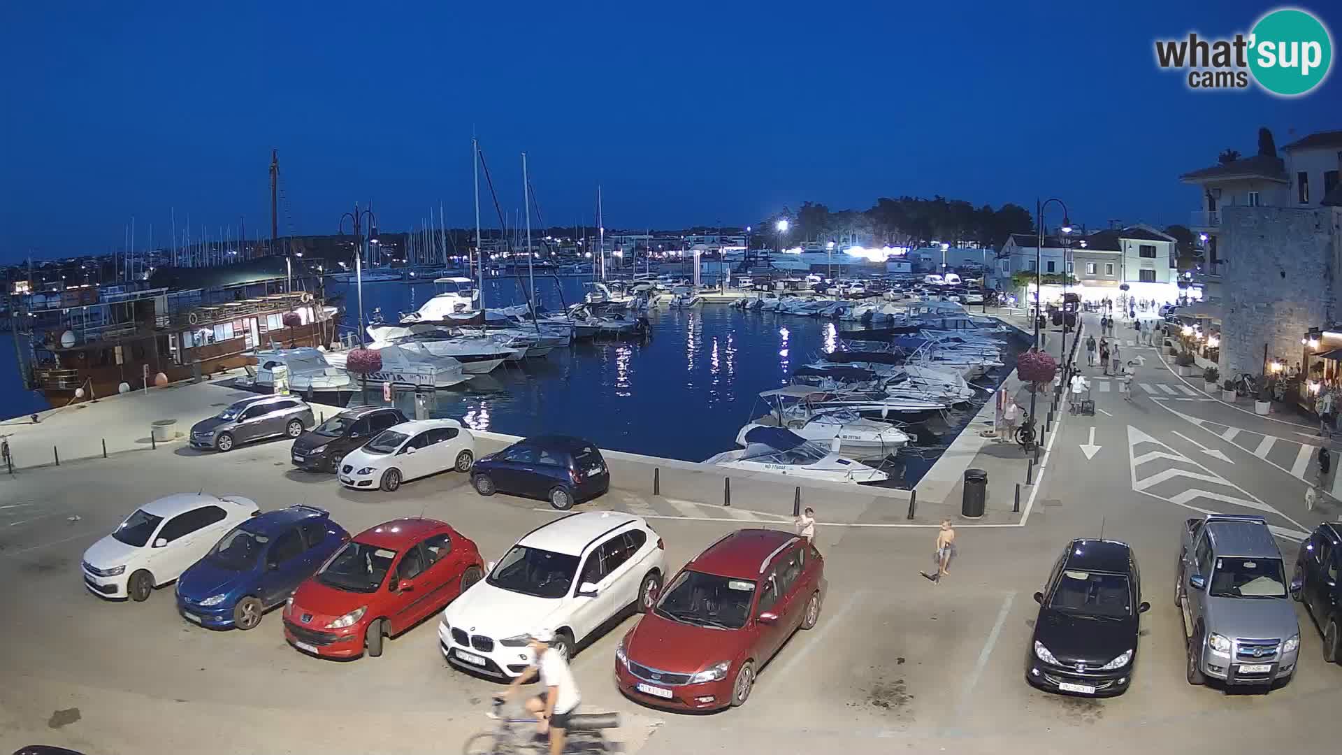 Novigrad | Porporela marina