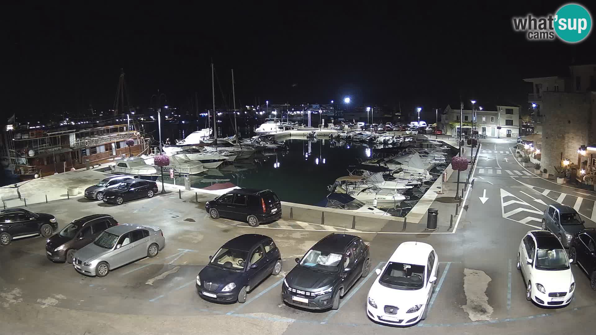 Novigrad | Porporela marina