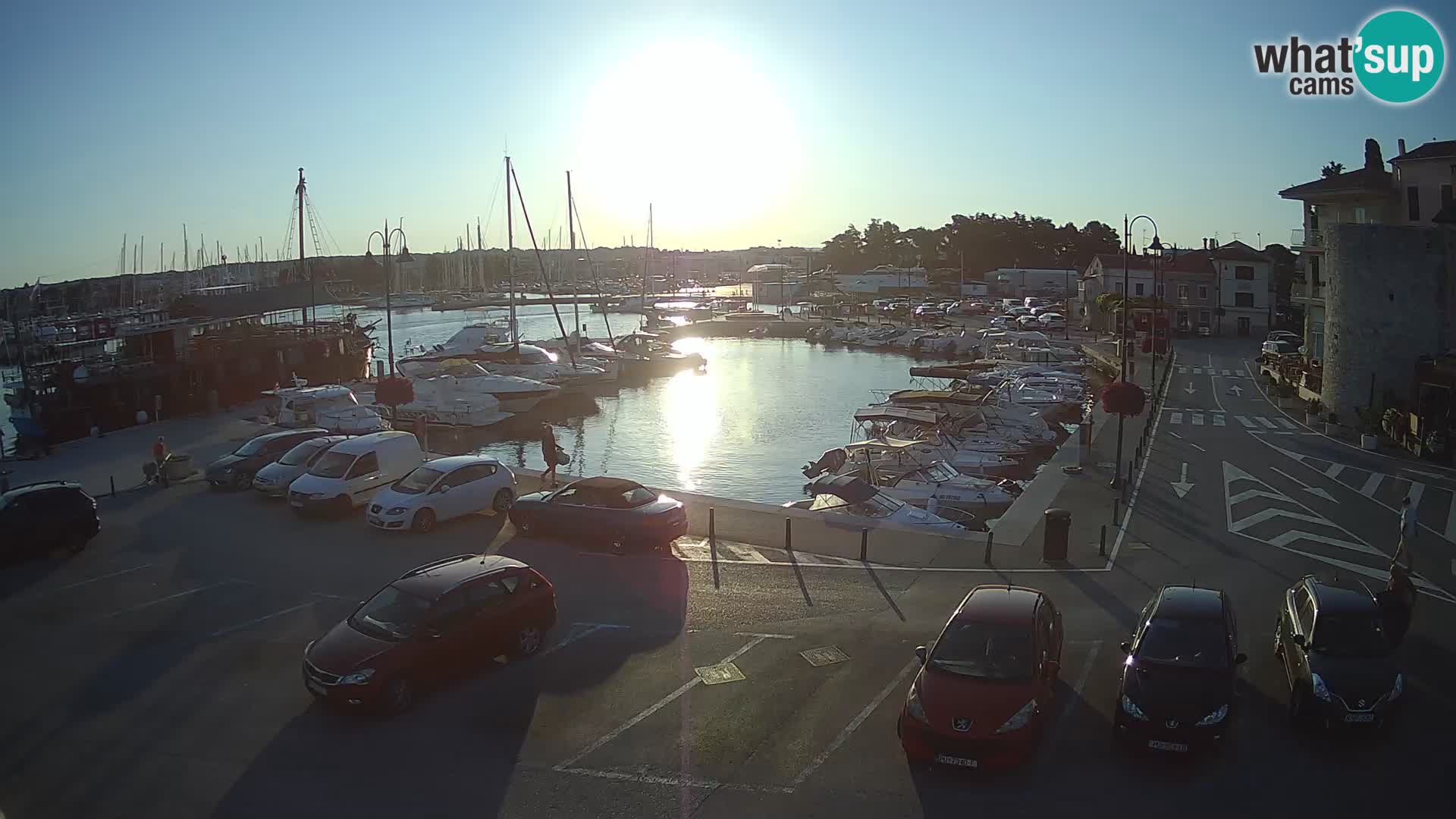Novigrad | Porporela marina