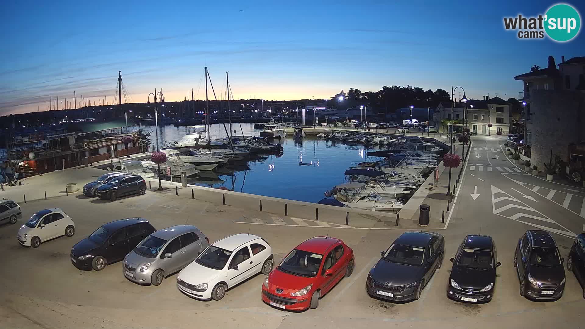Novigrad | Porporela marina