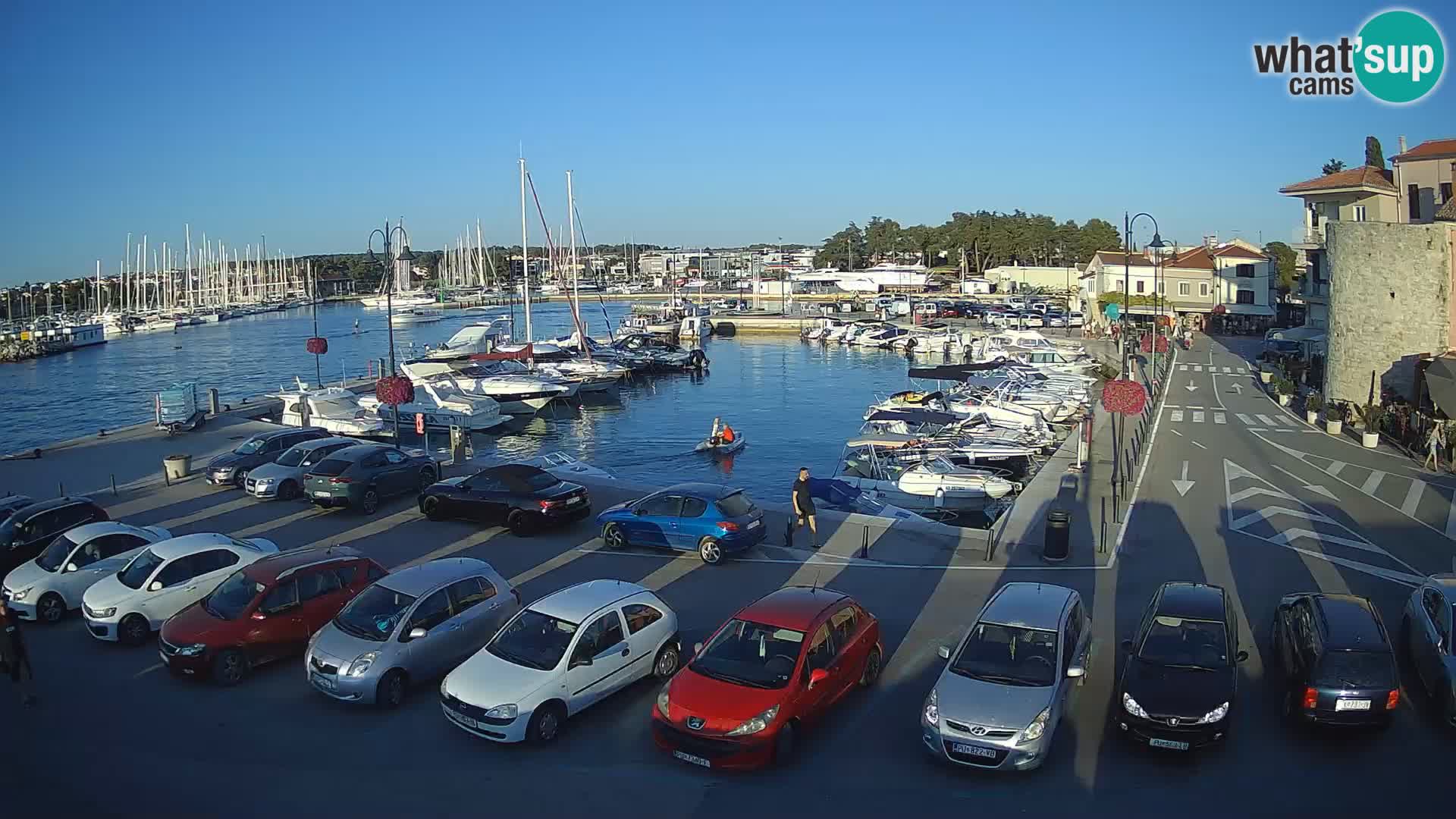 Novigrad | Porporela marina