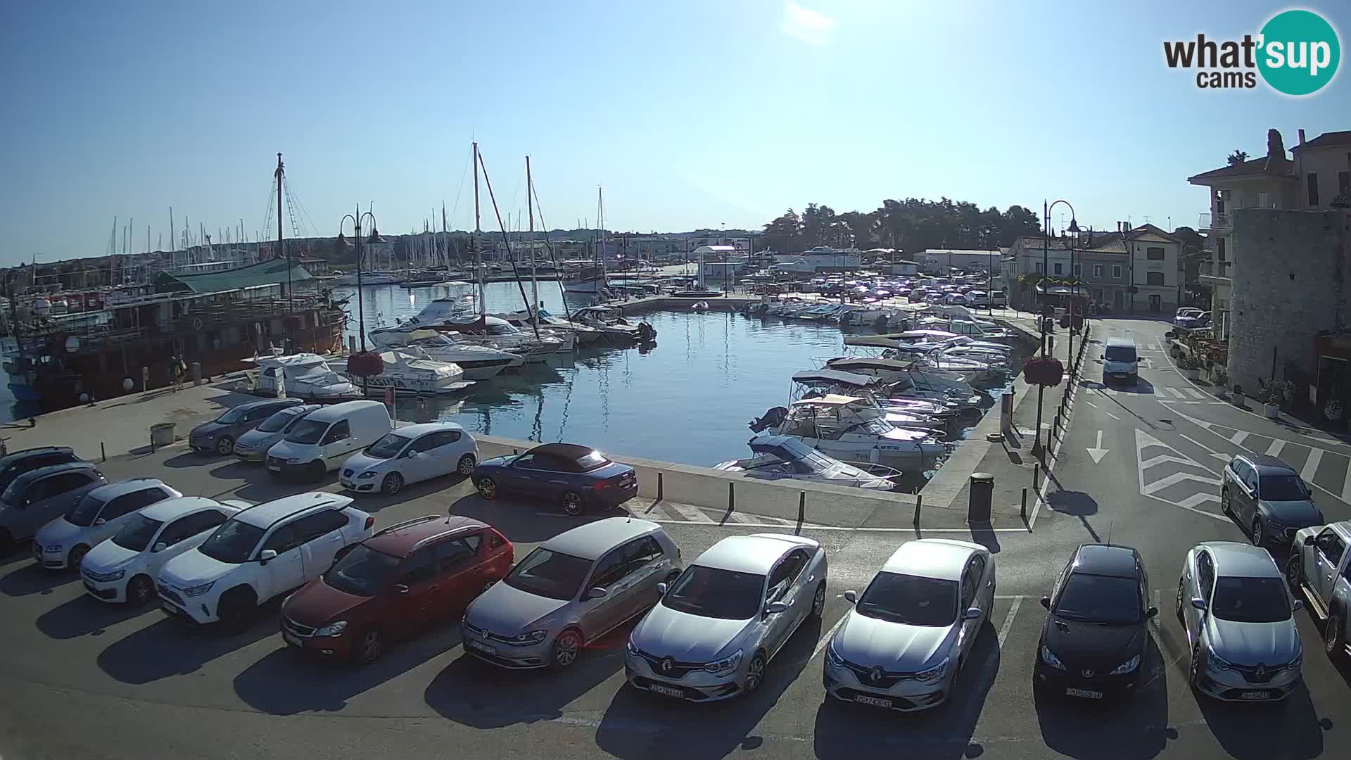 Novigrad | Porporela marina